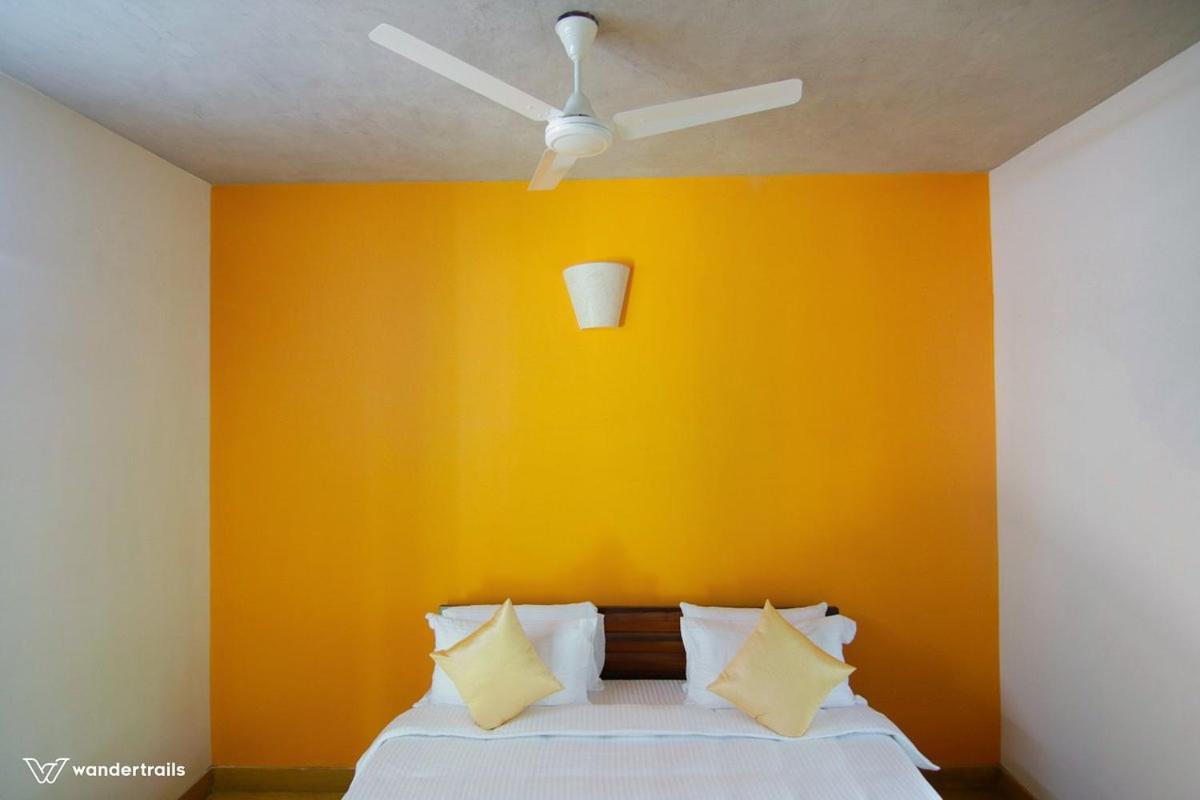 Standard Double or Twin Room photo 2