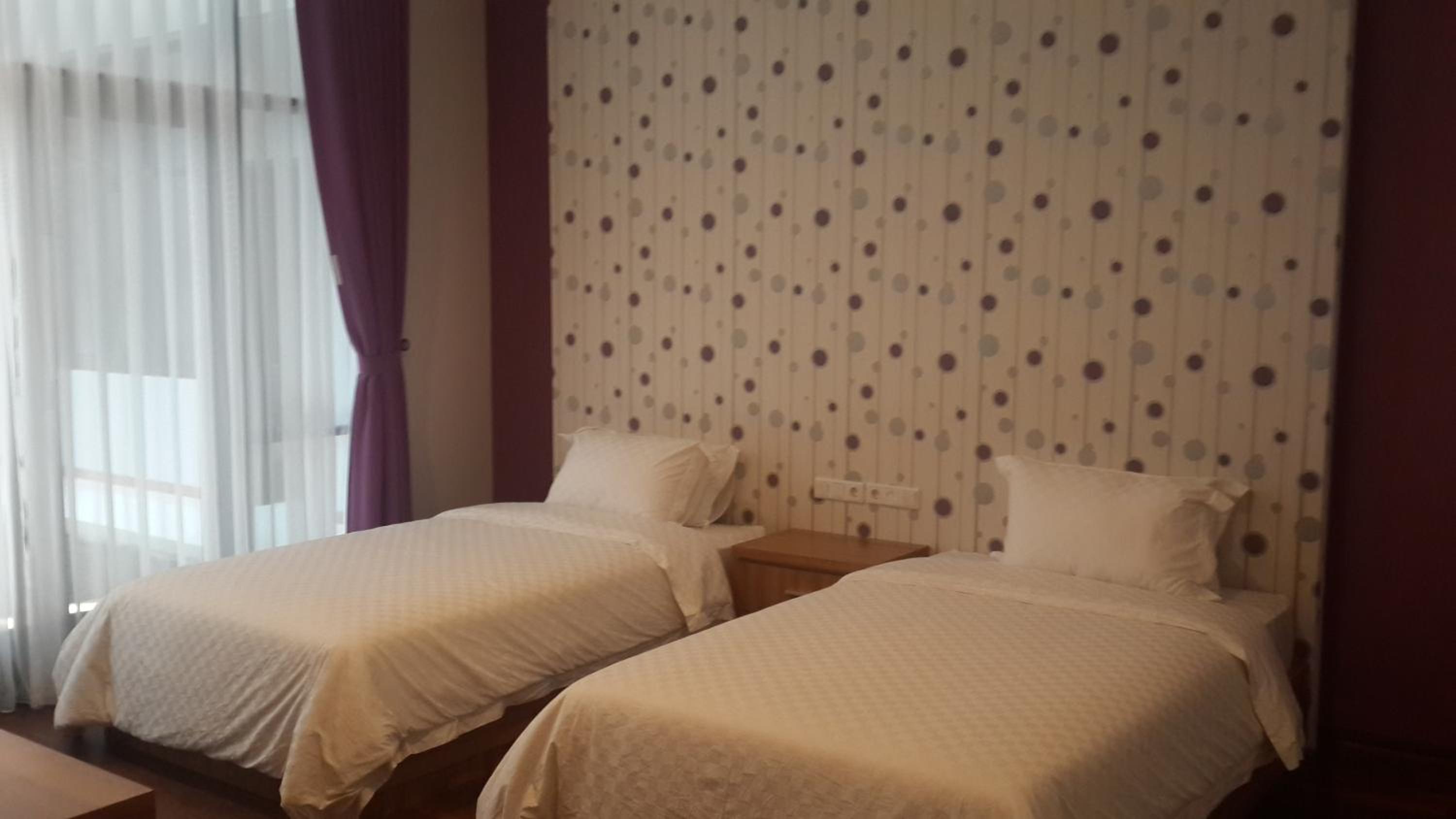Deluxe Twin Room photo 1