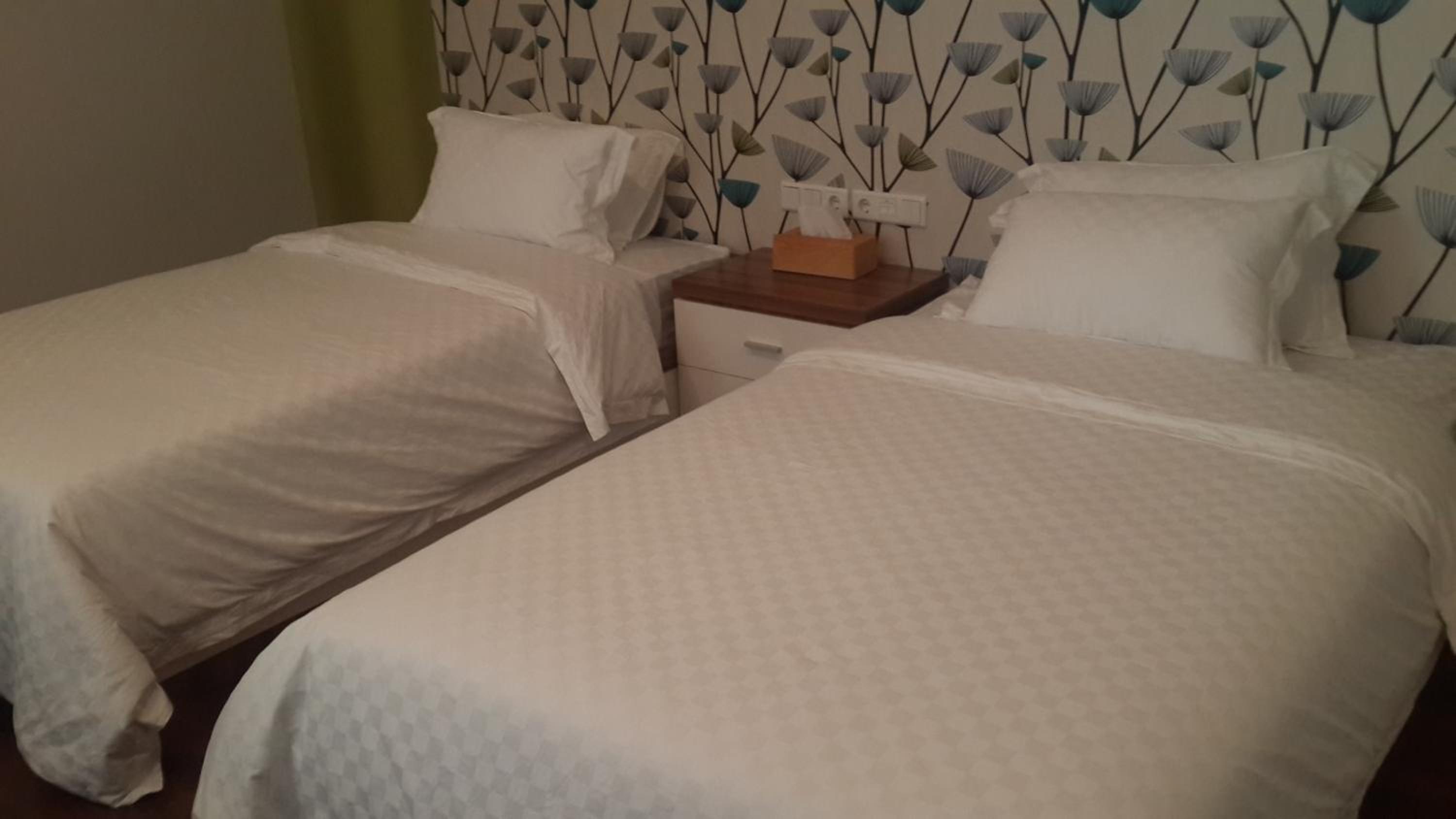 Twin Room with Pool View photo 2