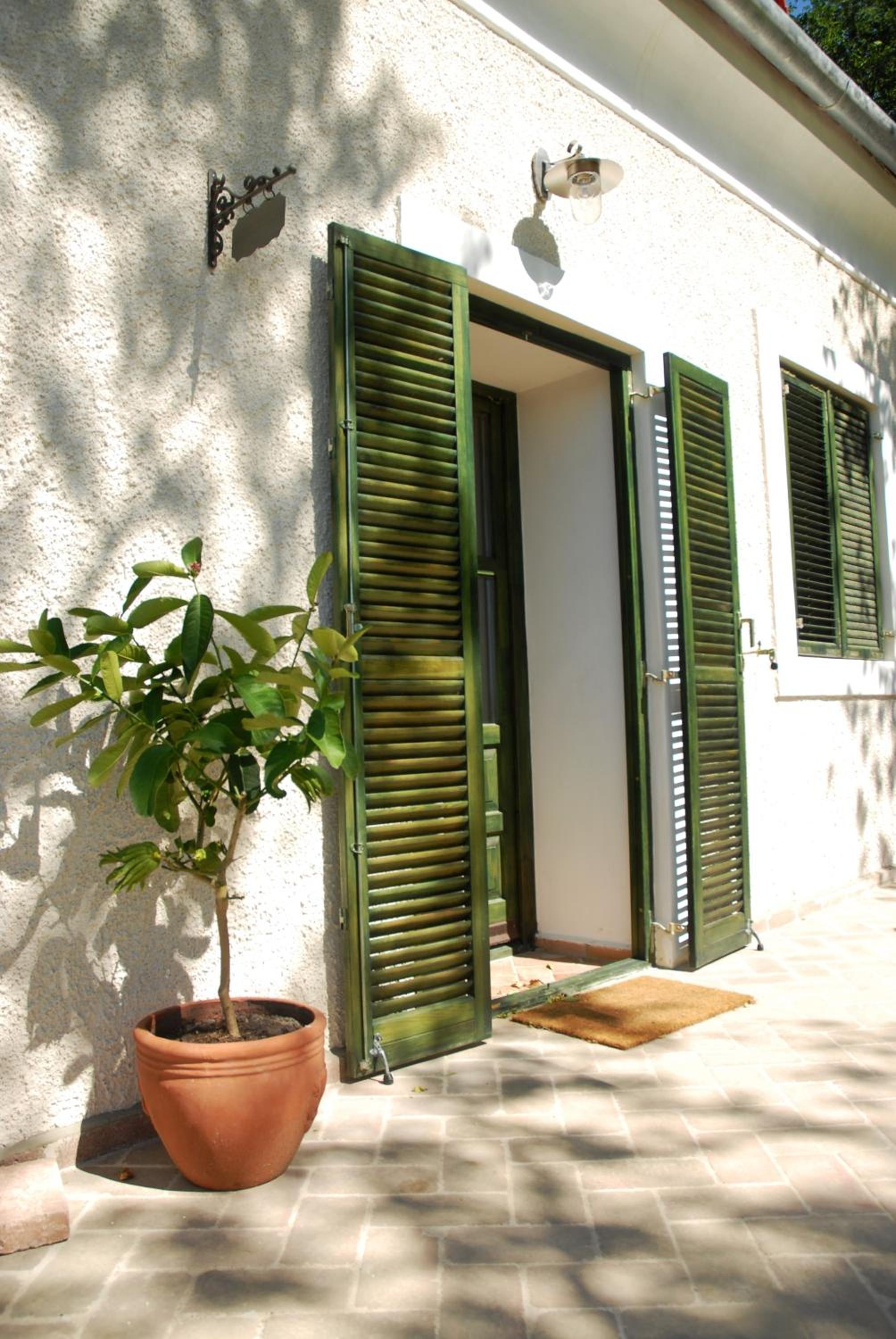 Duplex Apartment photo 3