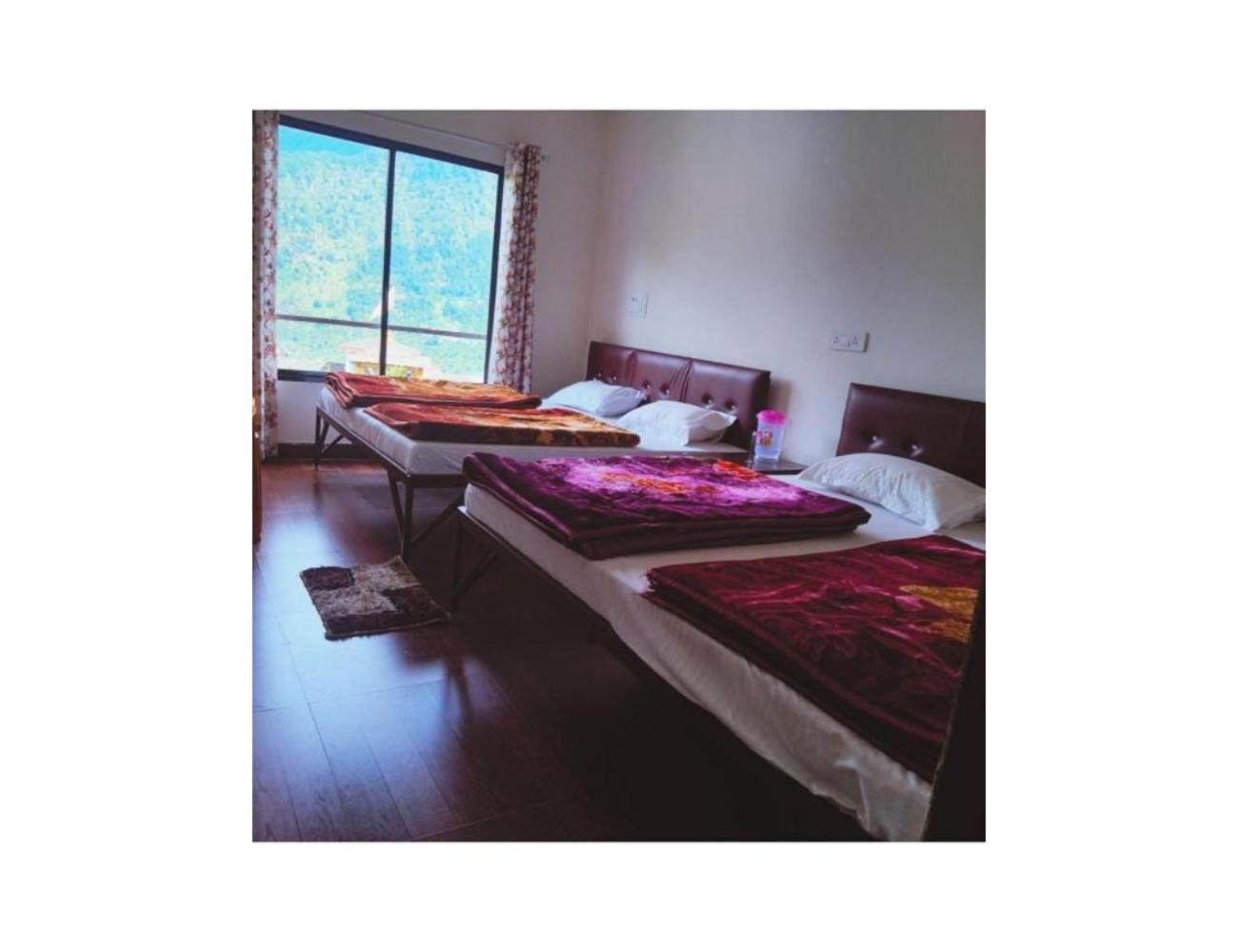 Quadruple Room photo 1