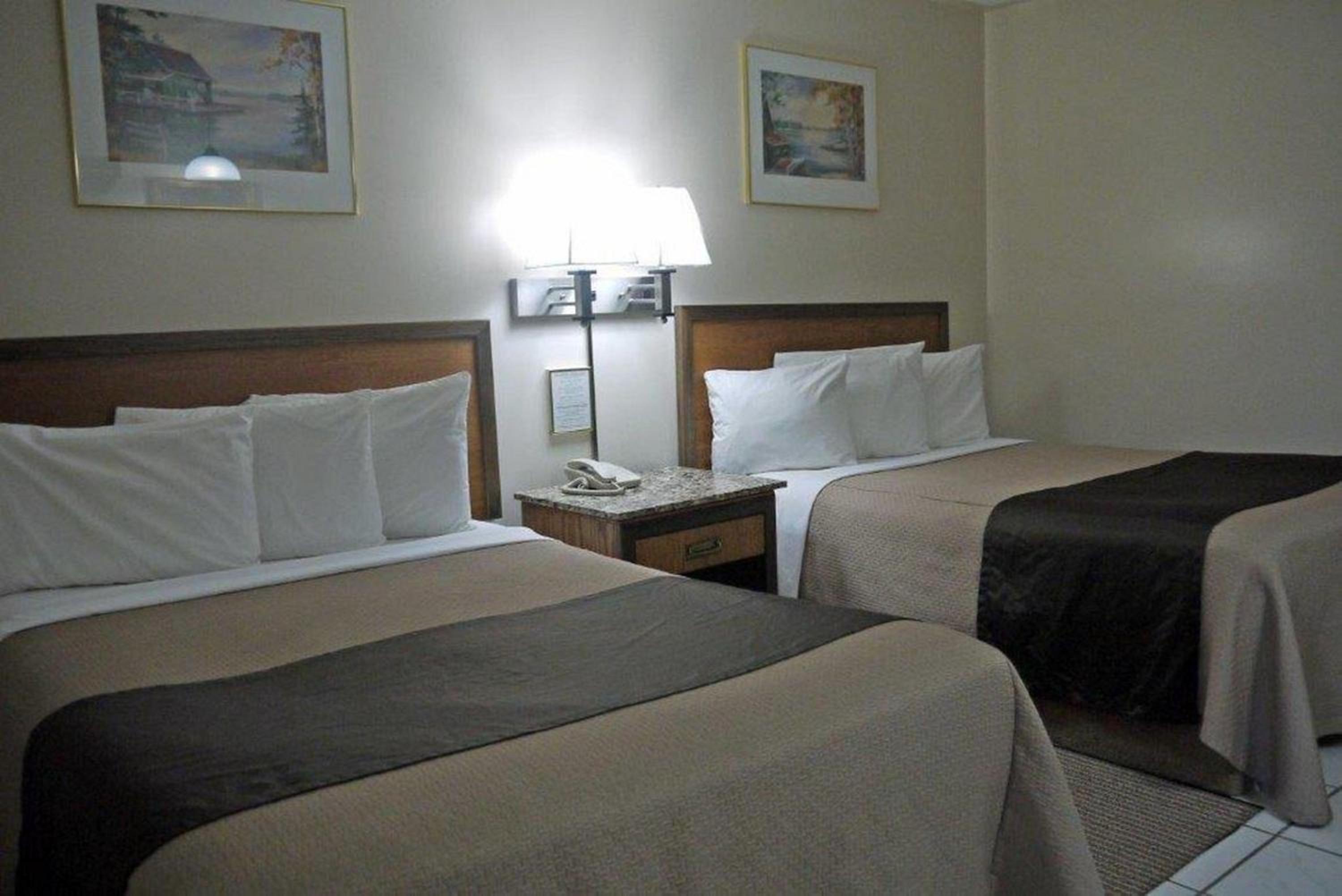 One-Bedroom Suite - Photo 1