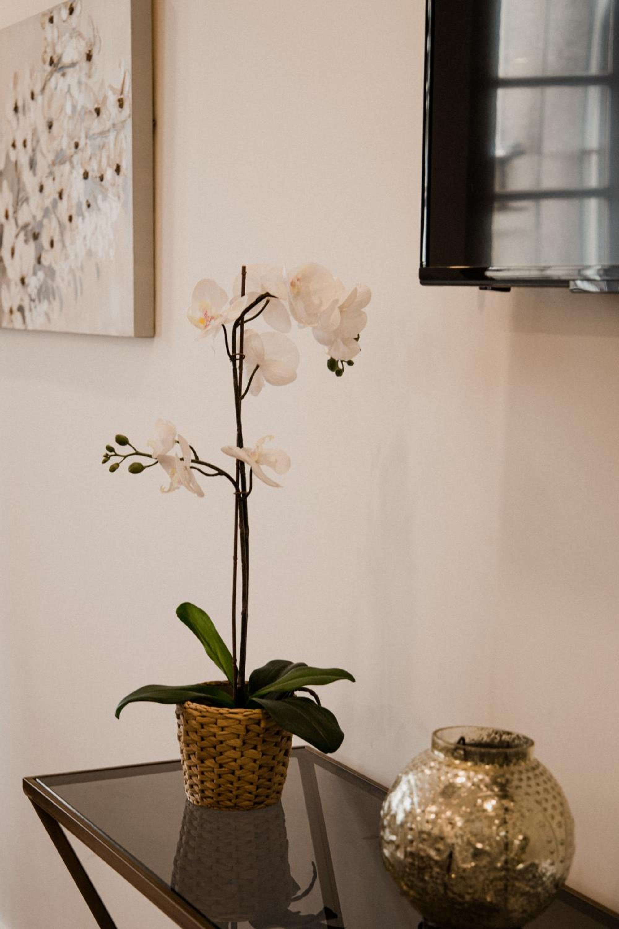 Loft - Photo 15
