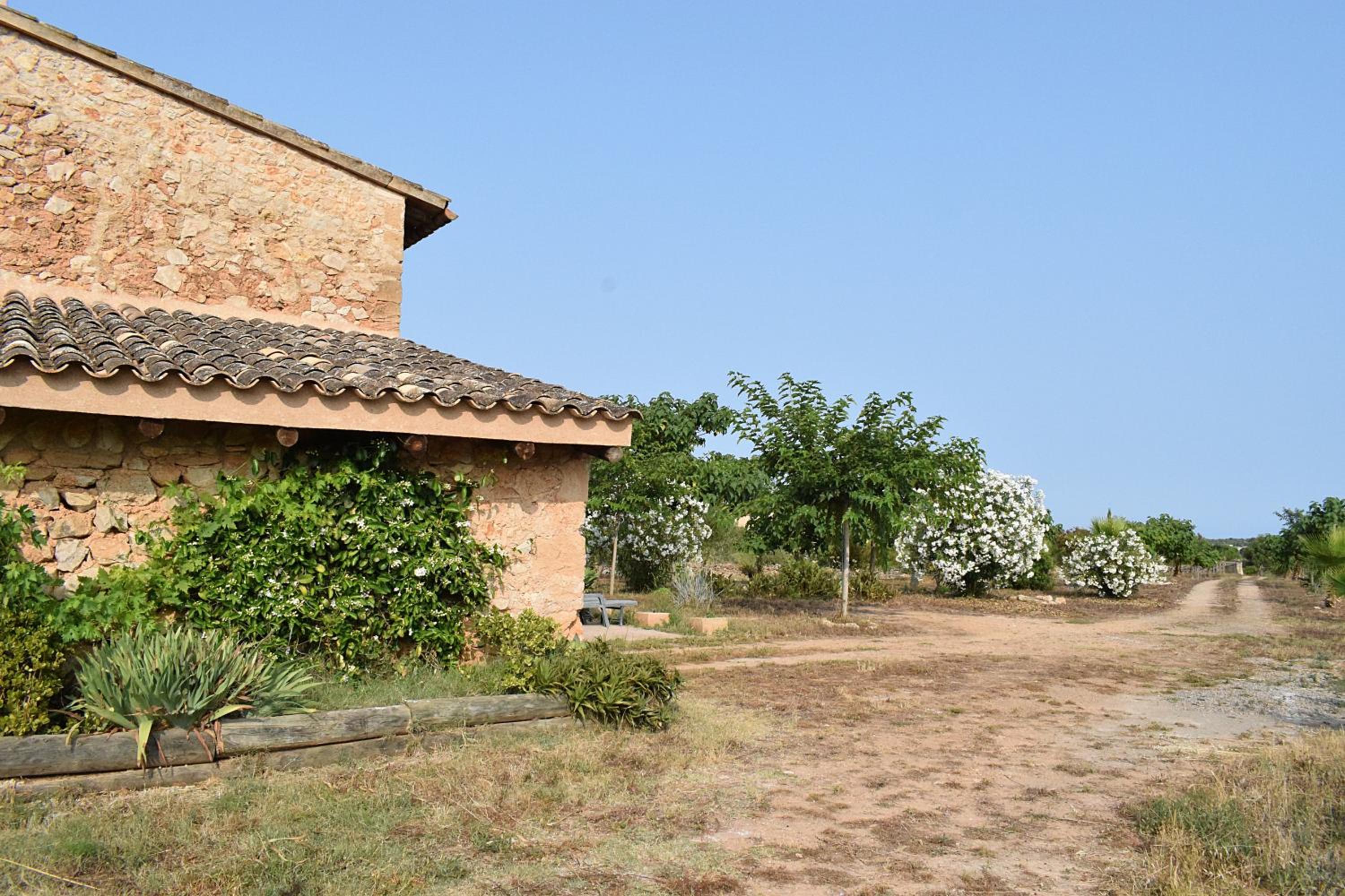 Three-Bedroom House photo 2