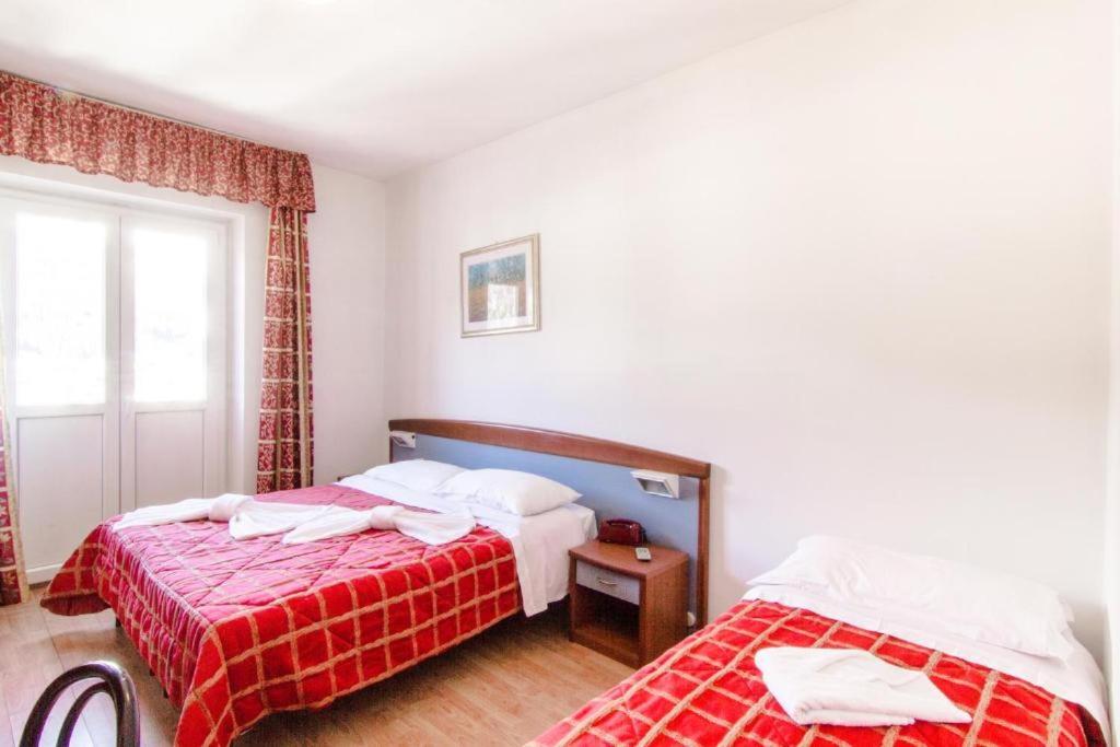 Comfort Quadruple Room - Photo 11