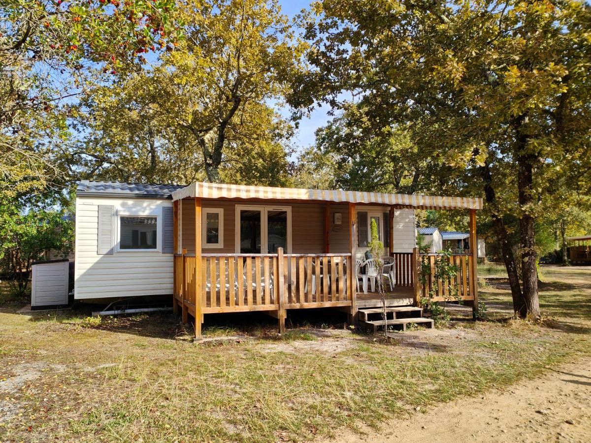 Mobile Home photo 1