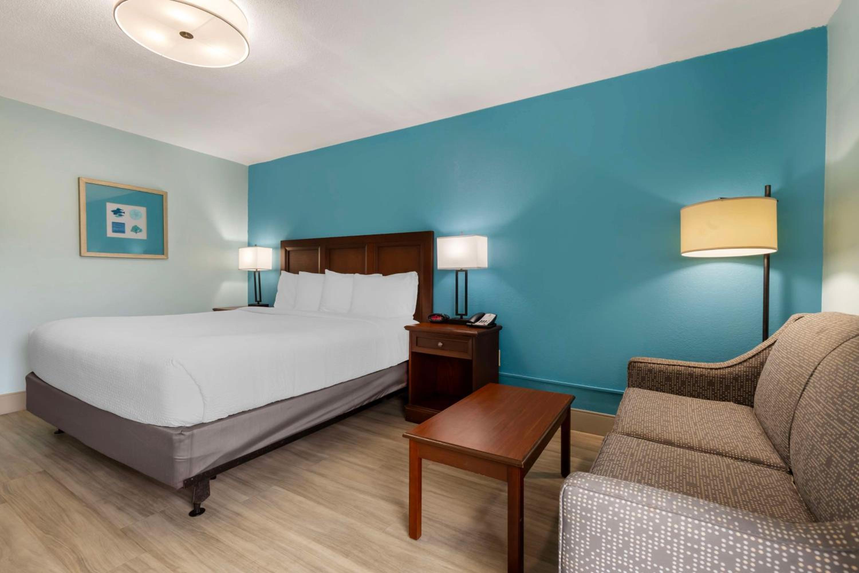 King Room - Disability Access - Photo 3