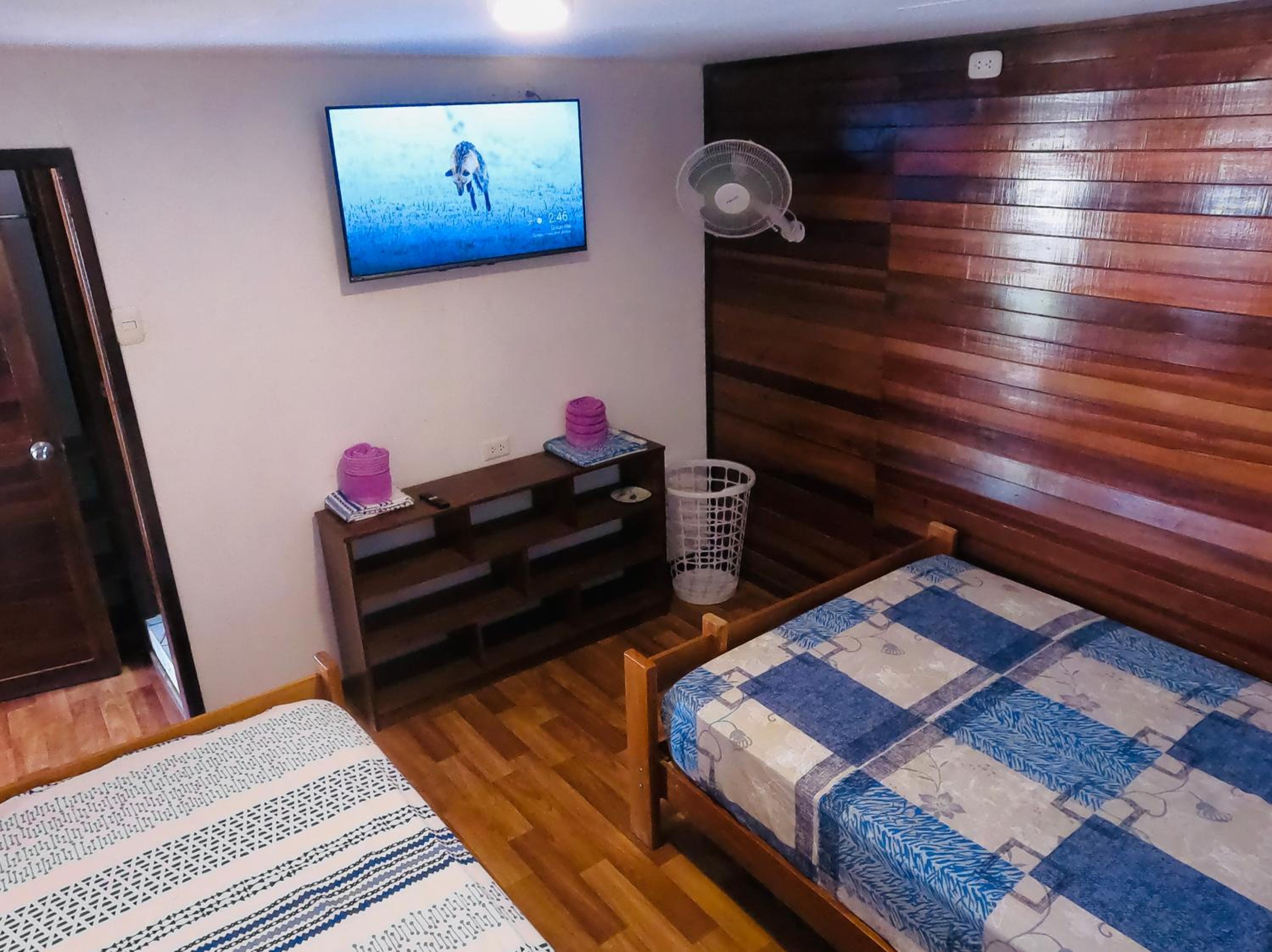 Double or Twin Room photo 2