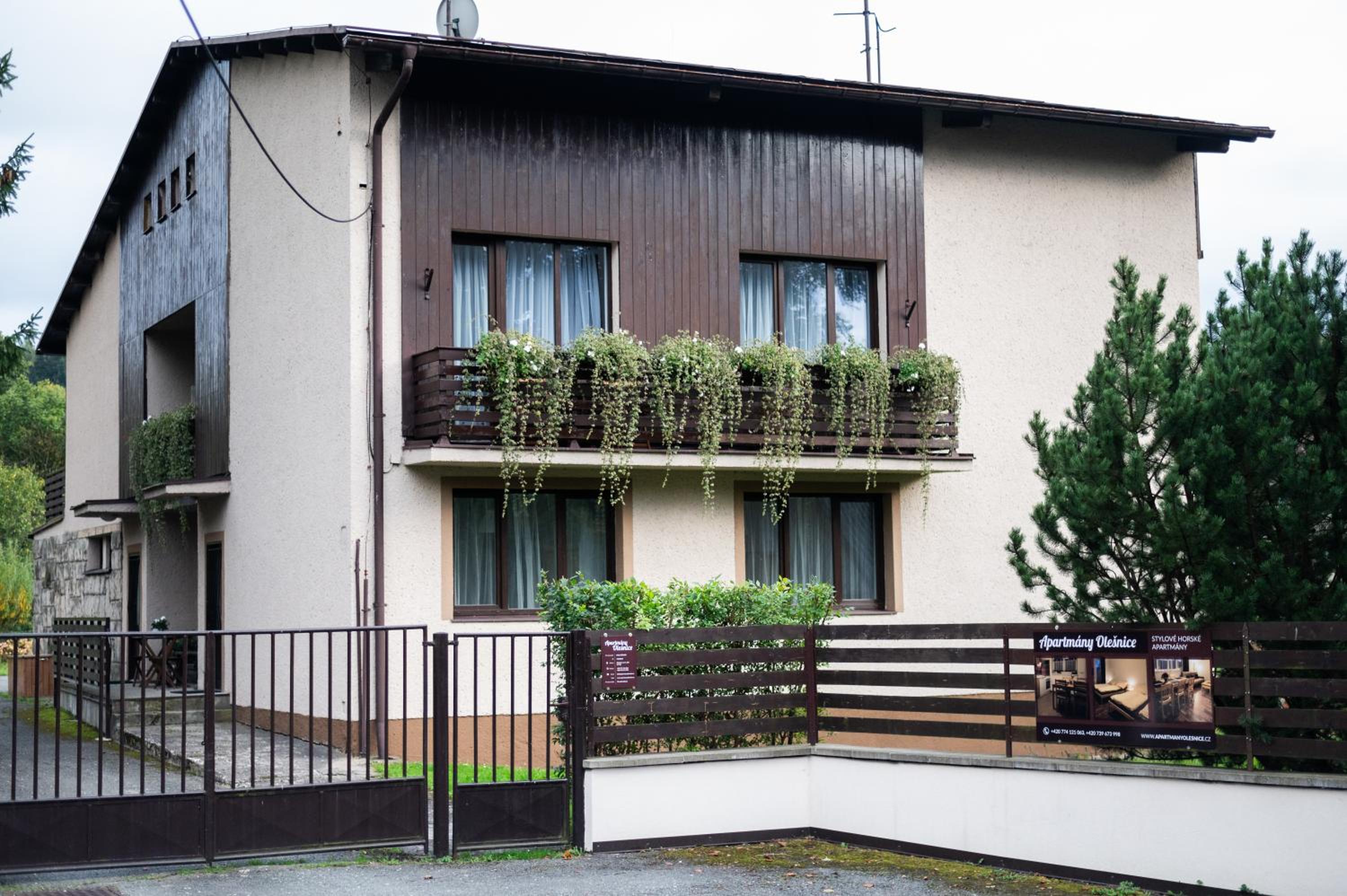 Apartment with Terrace photo 3