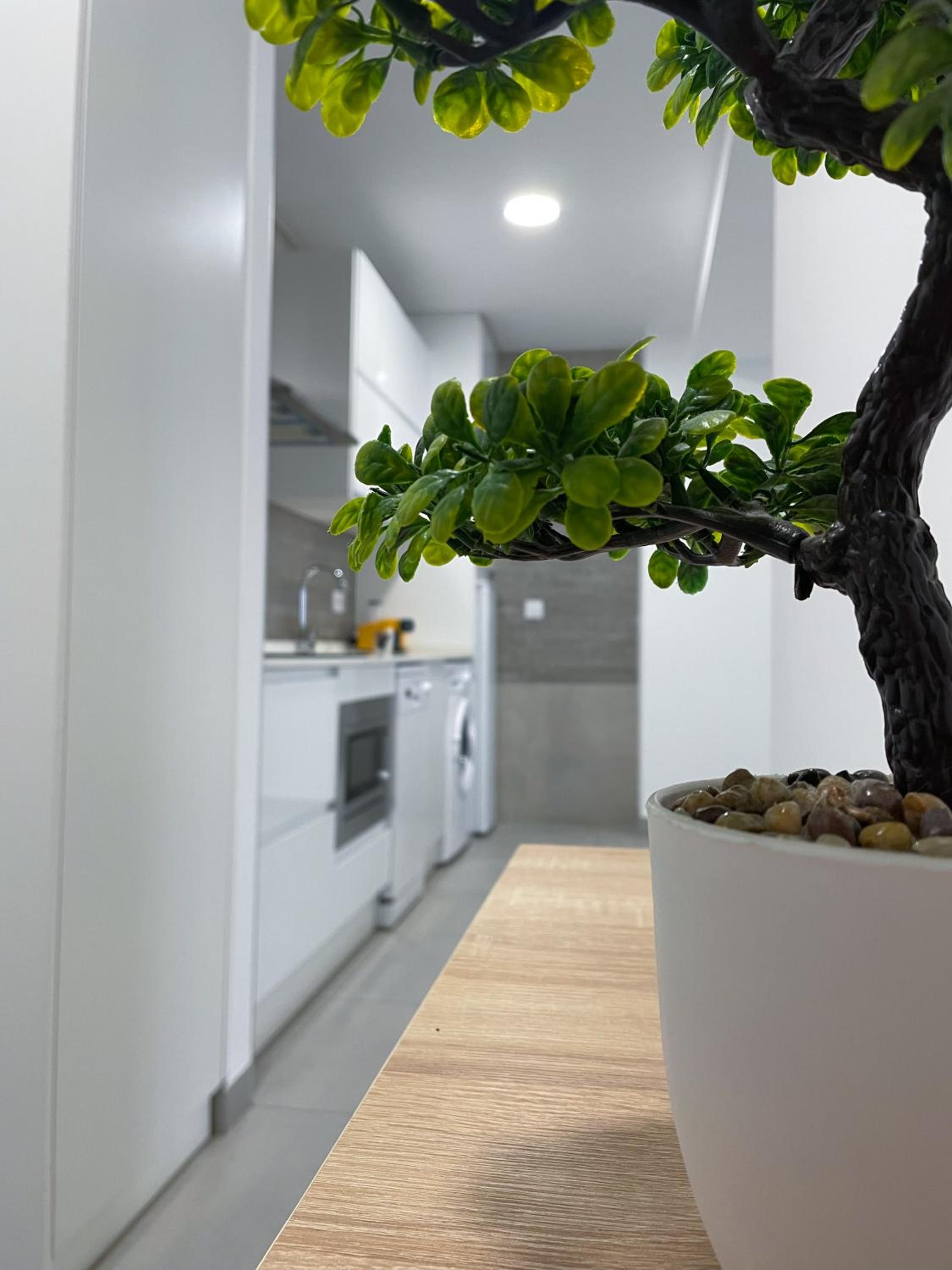 Apartment - Photo 12