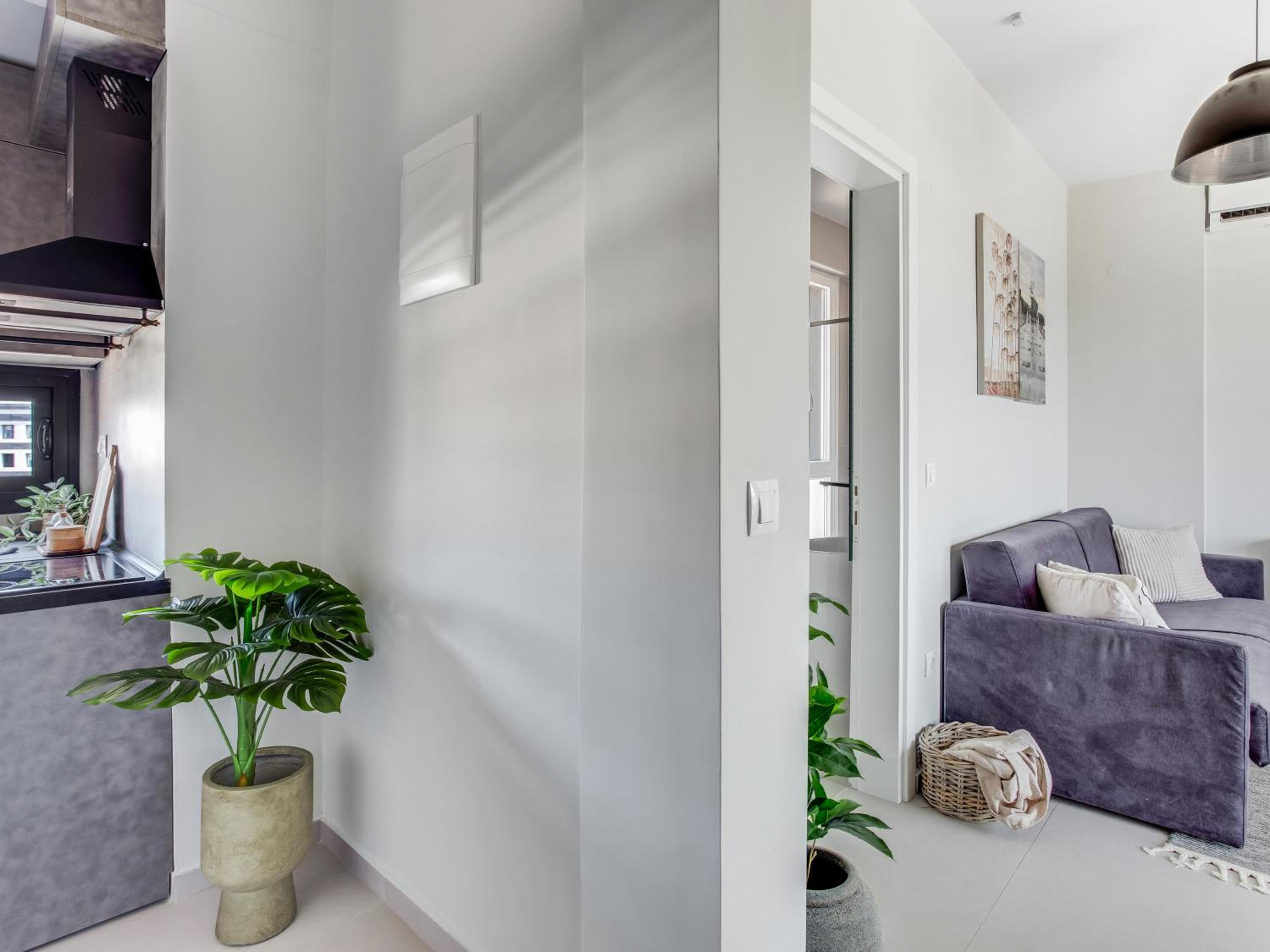 Standard One Bedroom Apartment