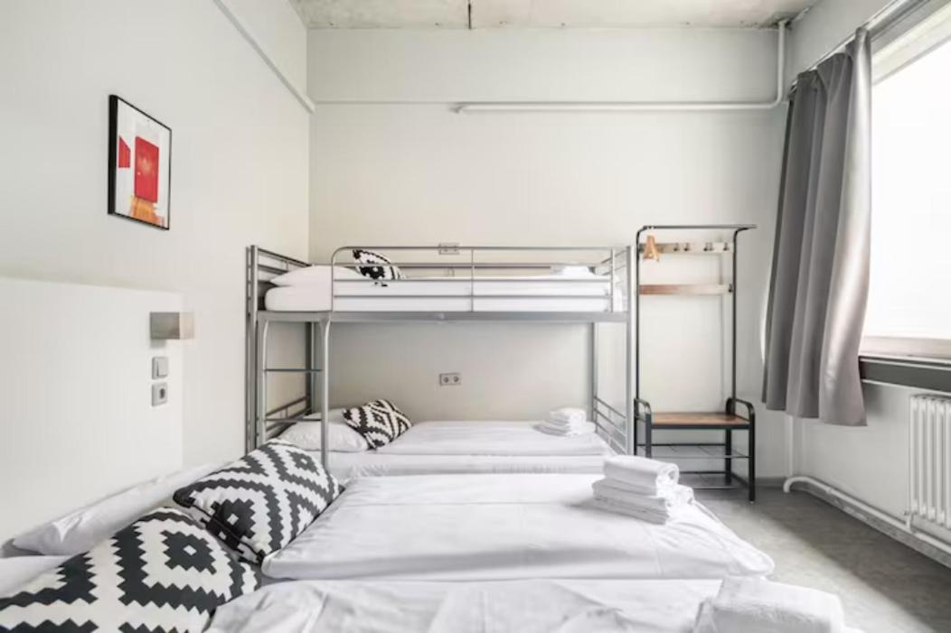 6-Bed Room With Bathroom photo 1
