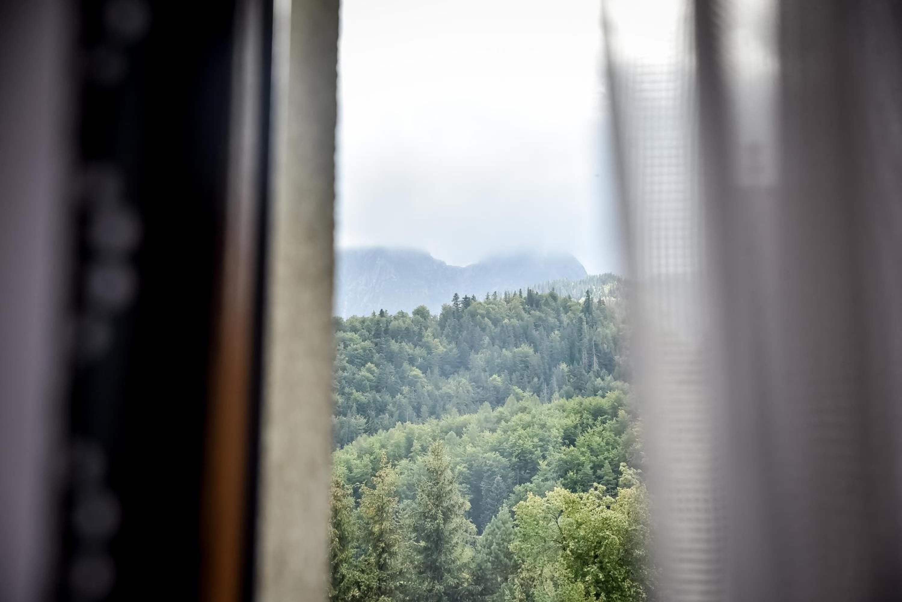 Premium Double Room with Mountain View - Photo 6