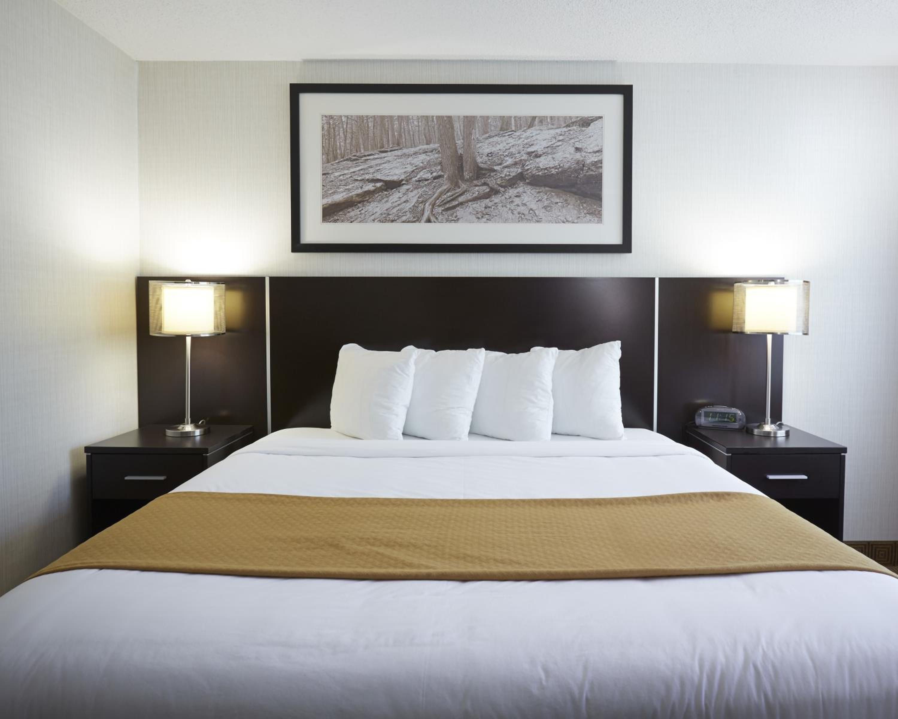 King Room - Non-Smoking with Sofa Bed - Photo 4