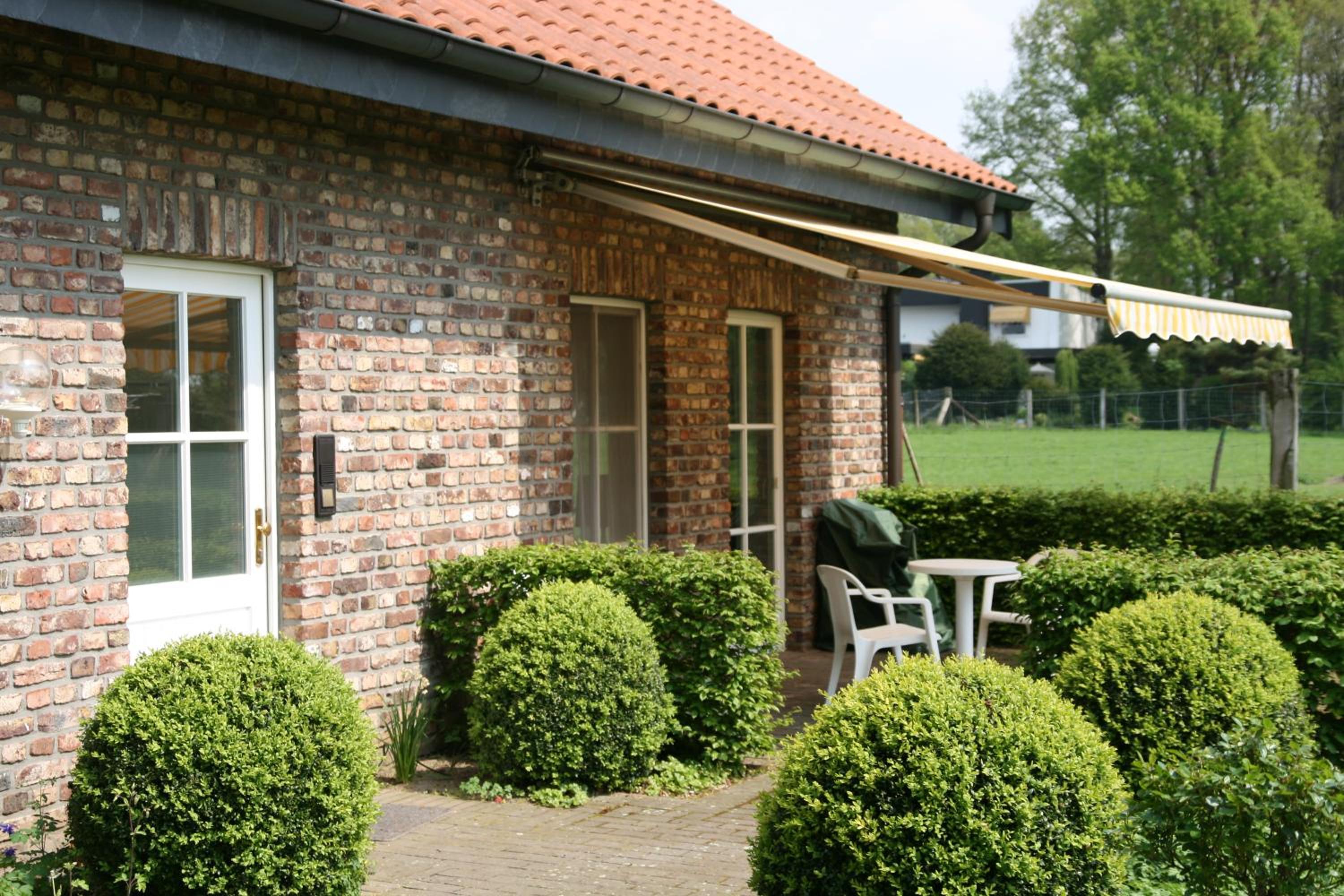Apartment with Terrace photo 2