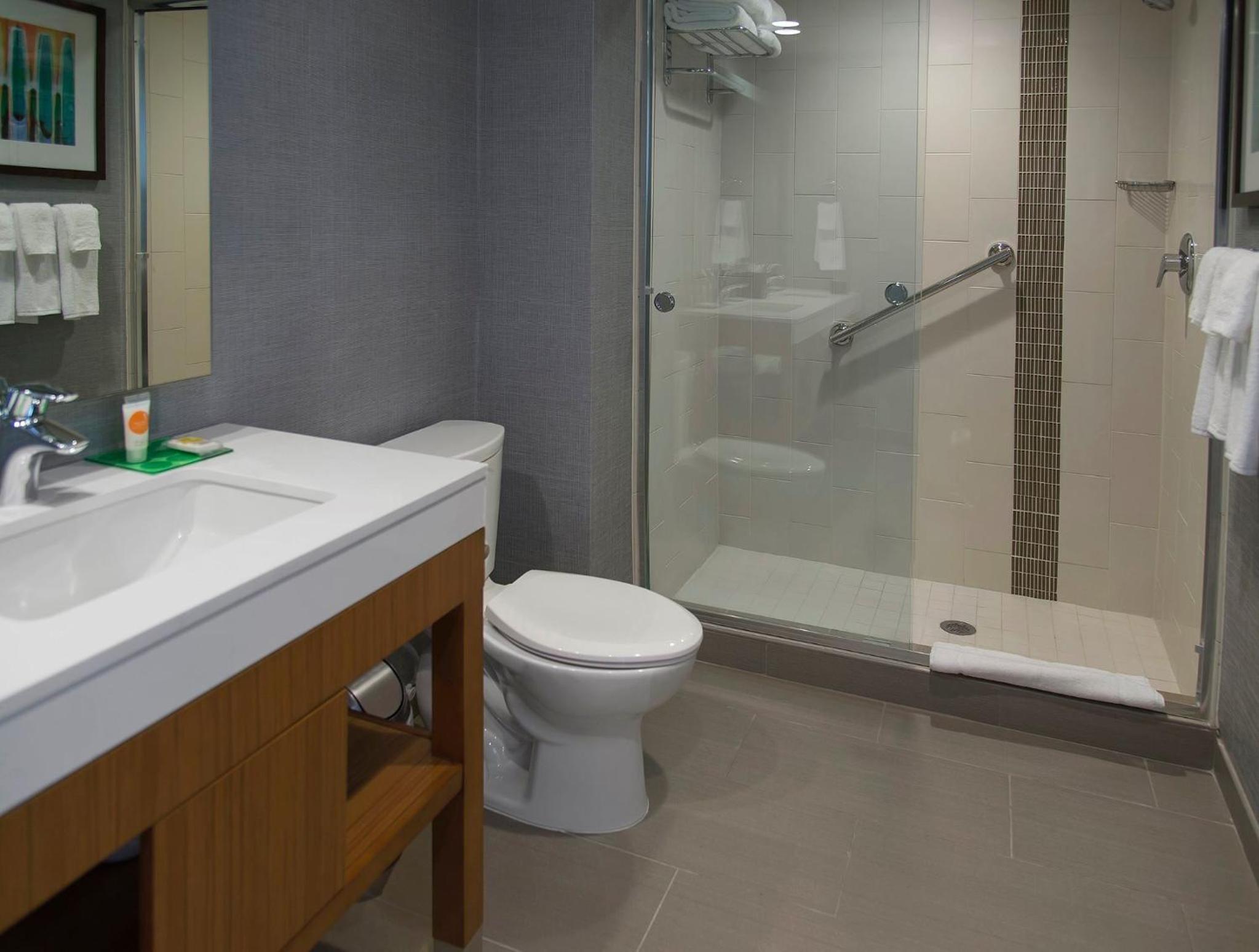 King Room with Sofa Bed and Roll-In Shower - Disability Access