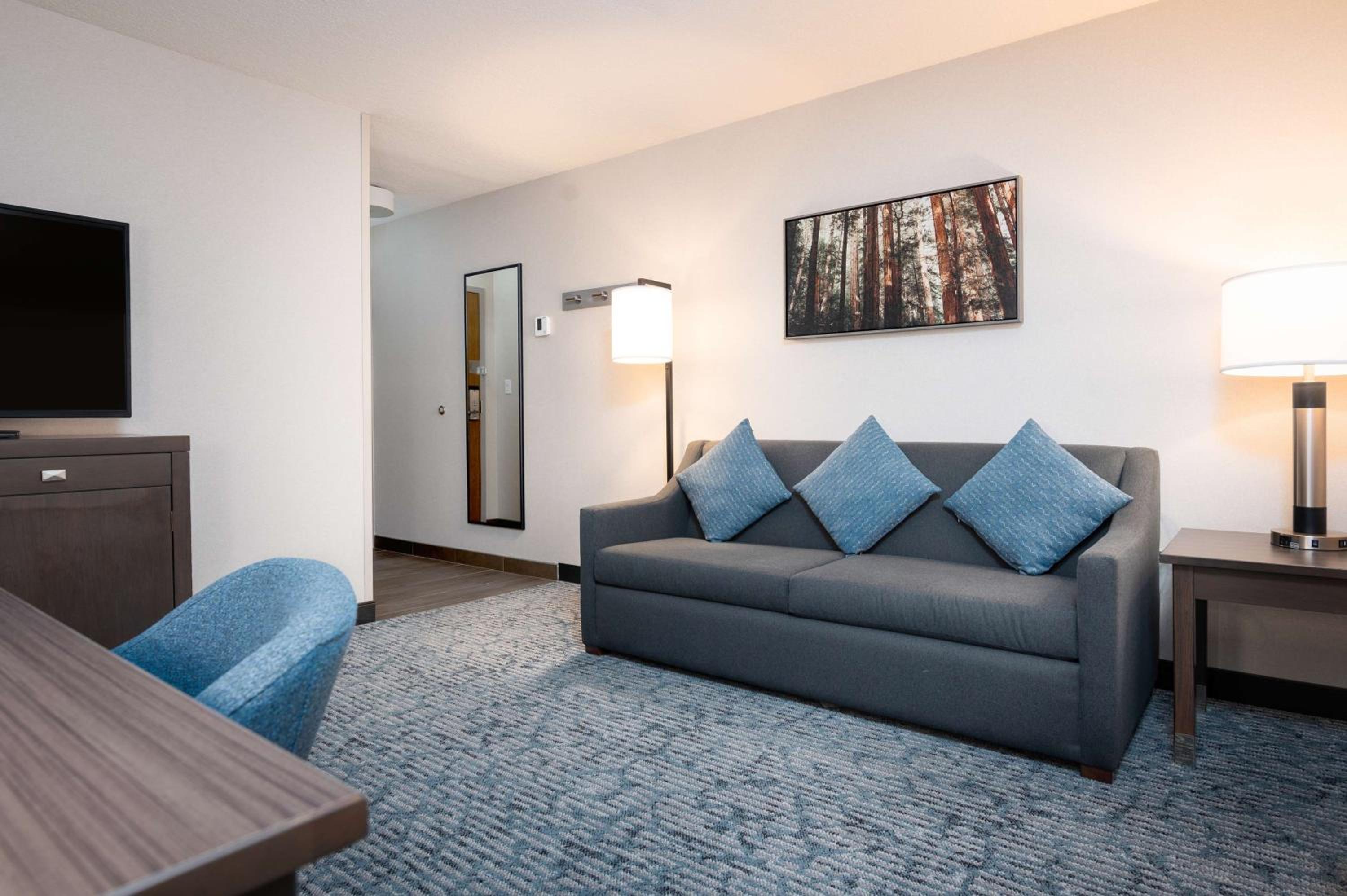 Queen Suite with Sofa Bed - Non-Smoking photo 3