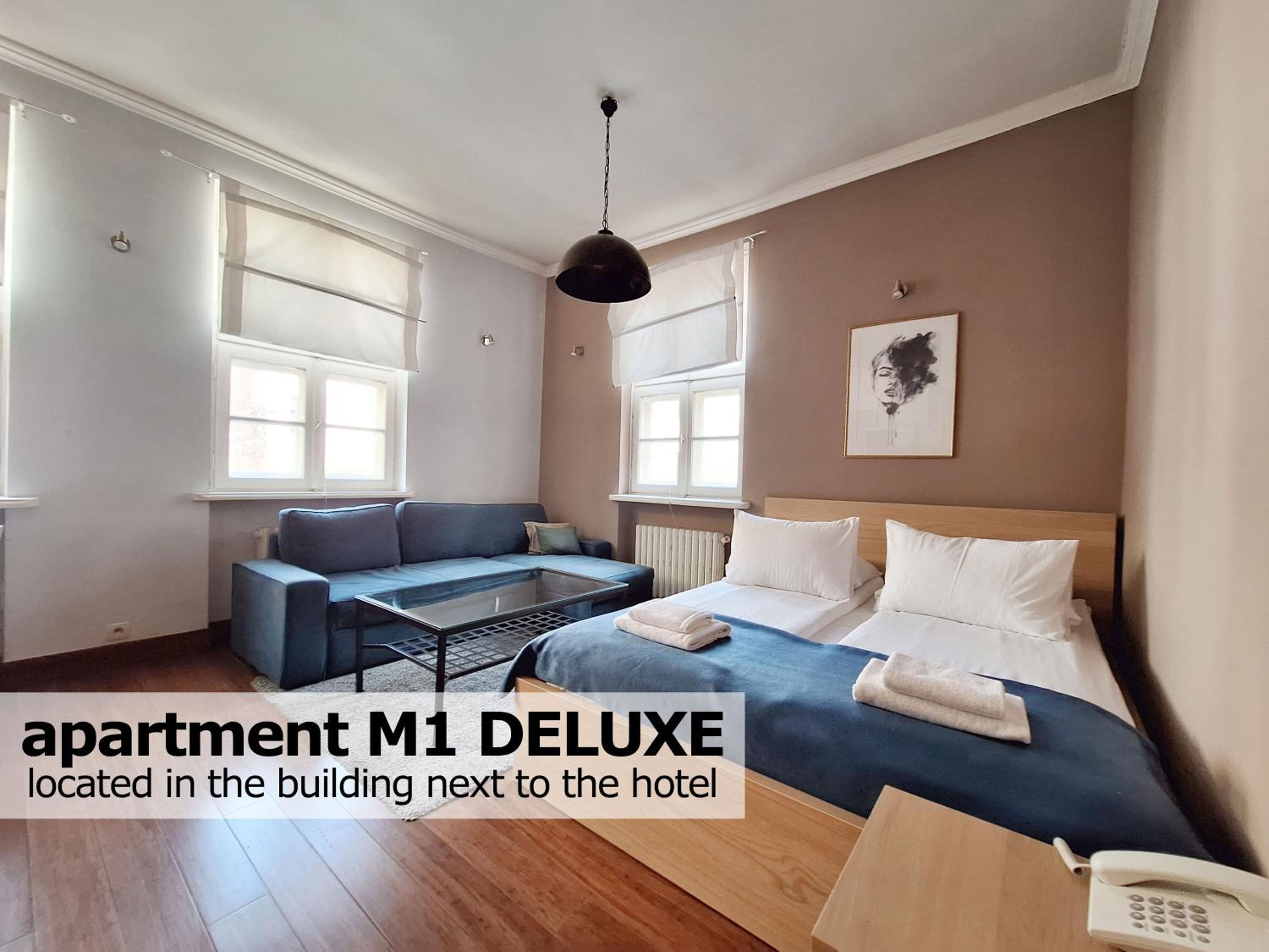 Deluxe Apartment
