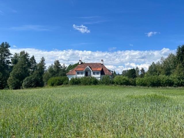 Villa photo 1