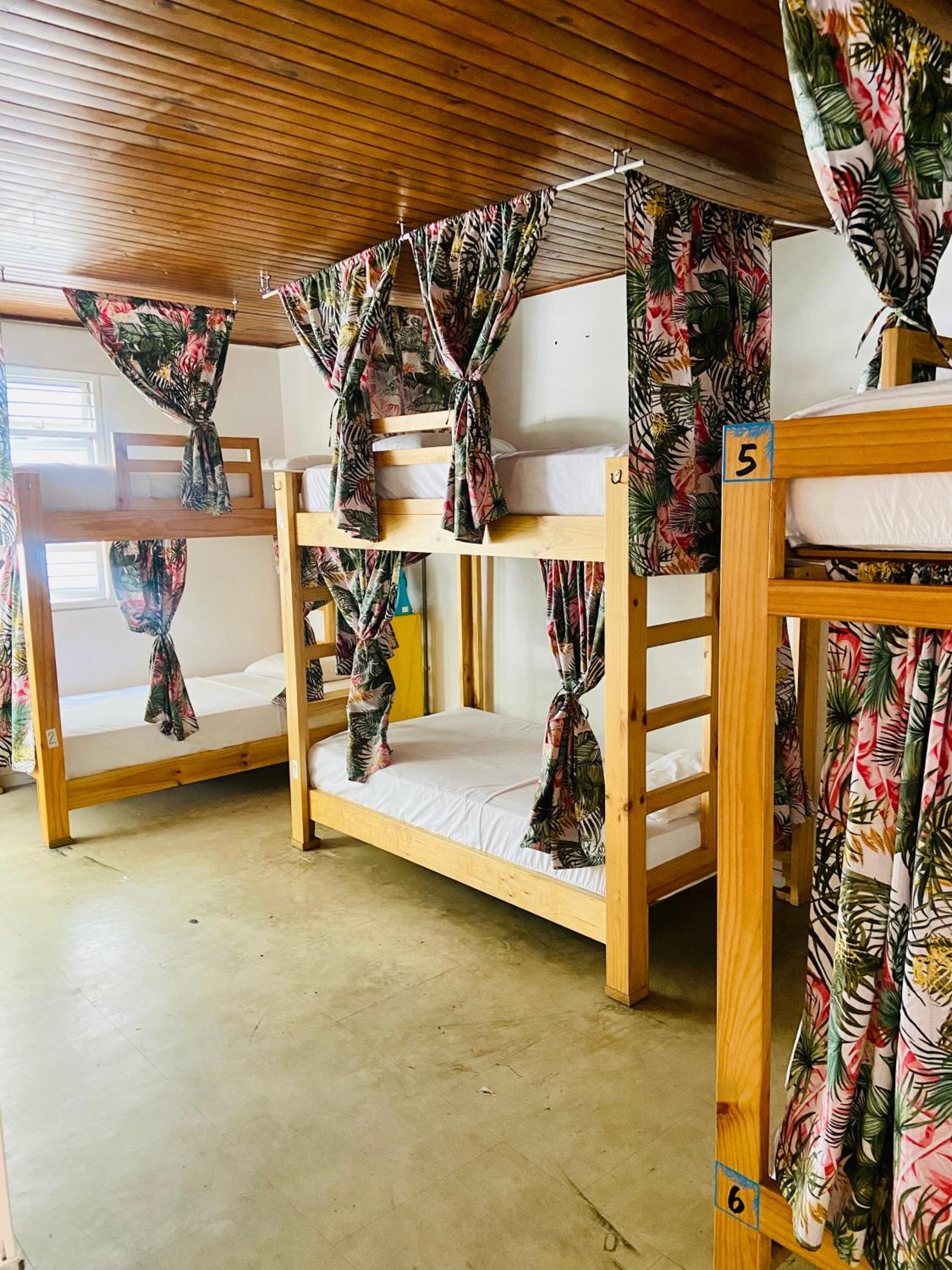Bed in 6-Bed Mixed Dormitory Room photo 2