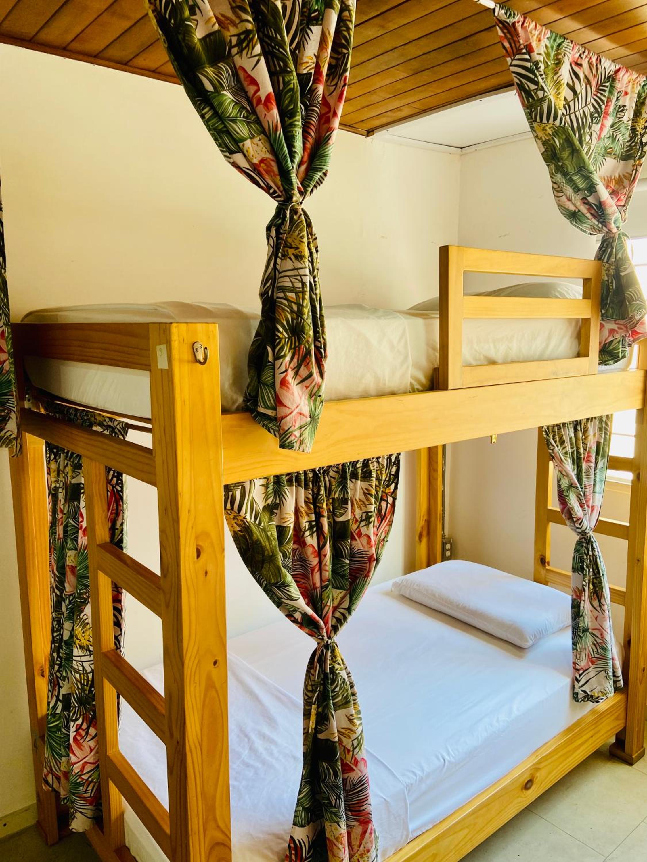 6-Bed Female Dormitory Room photo 1