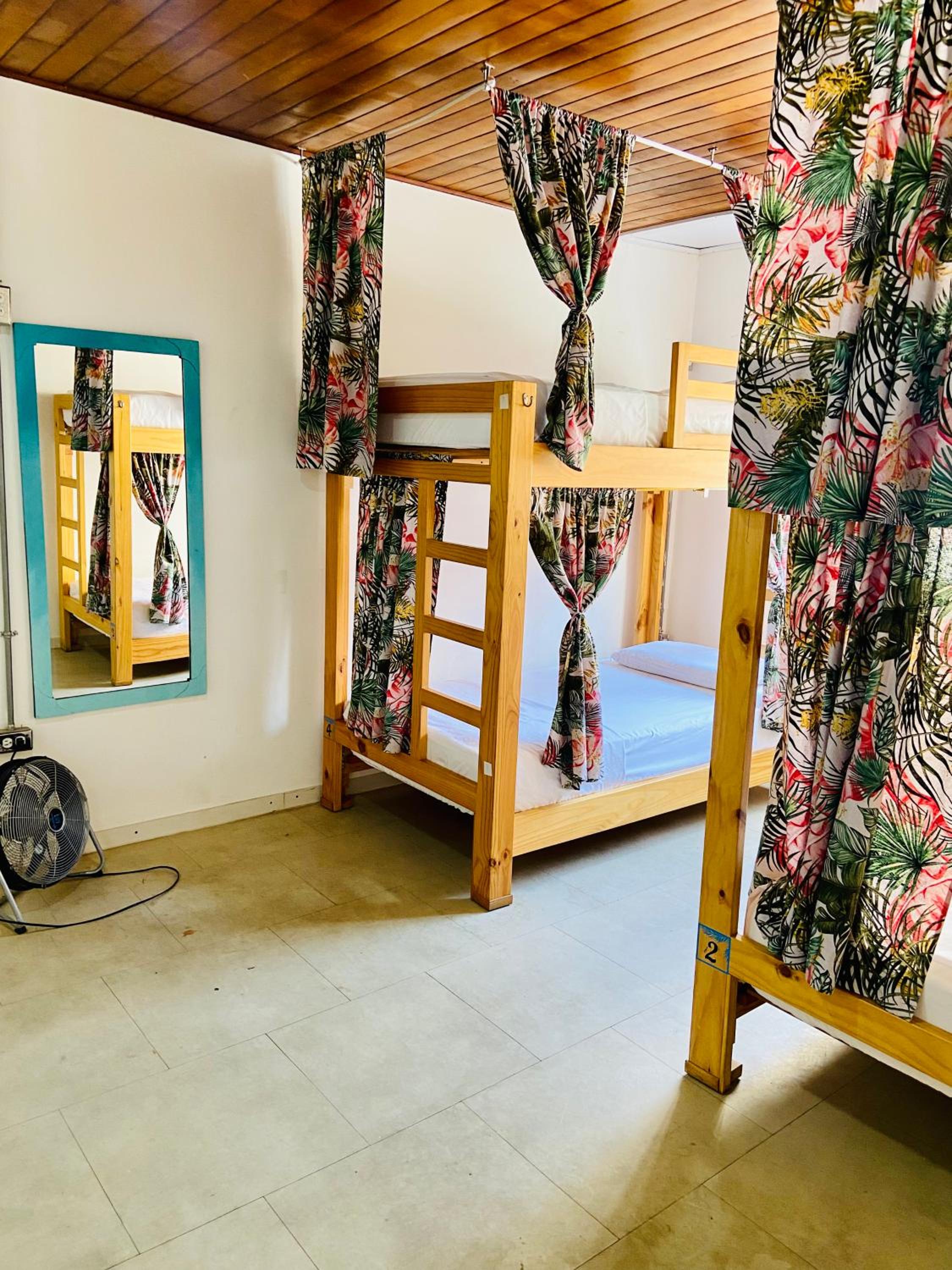6-Bed Female Dormitory Room photo 2