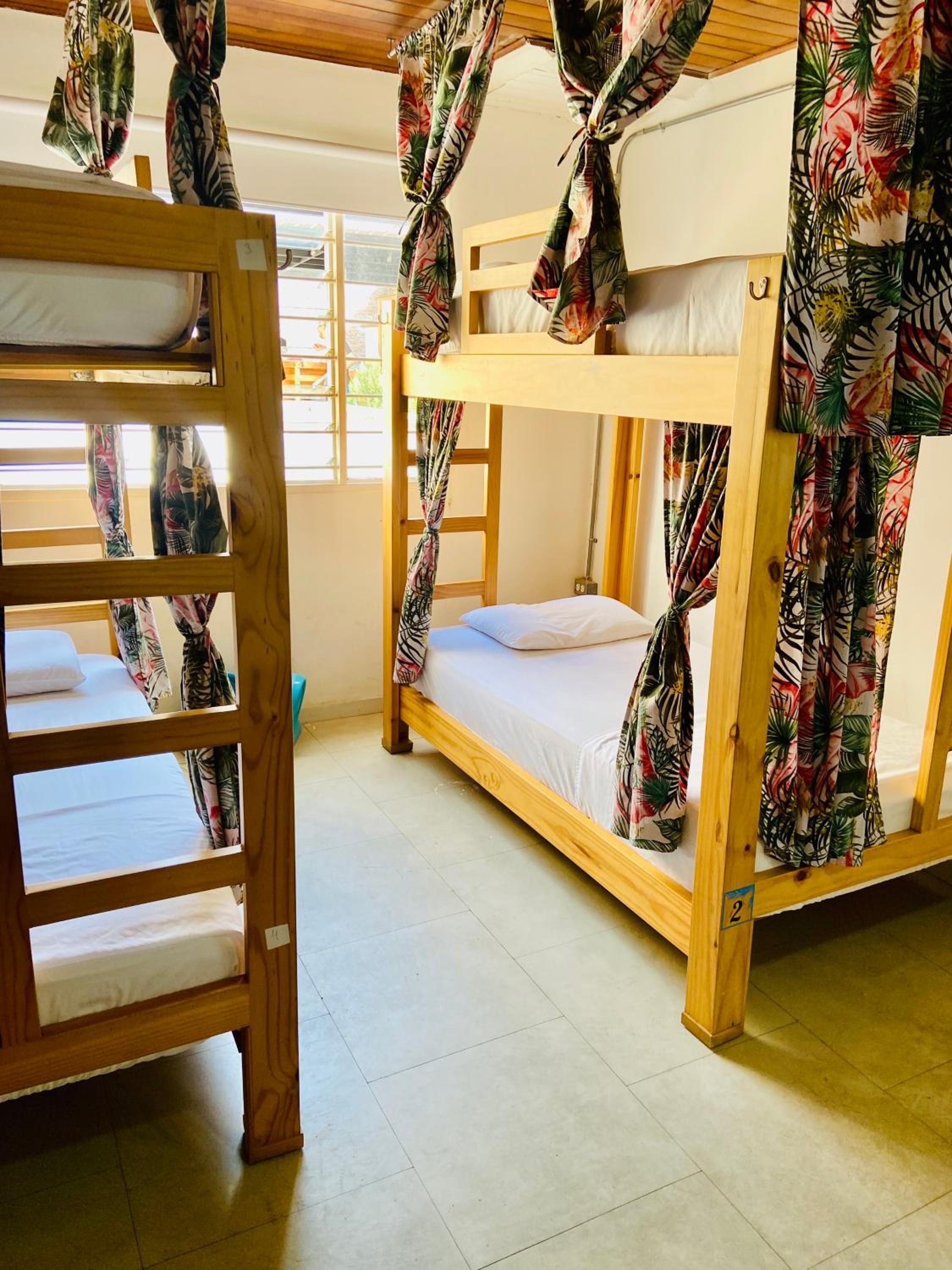 6-Bed Female Dormitory Room photo 3