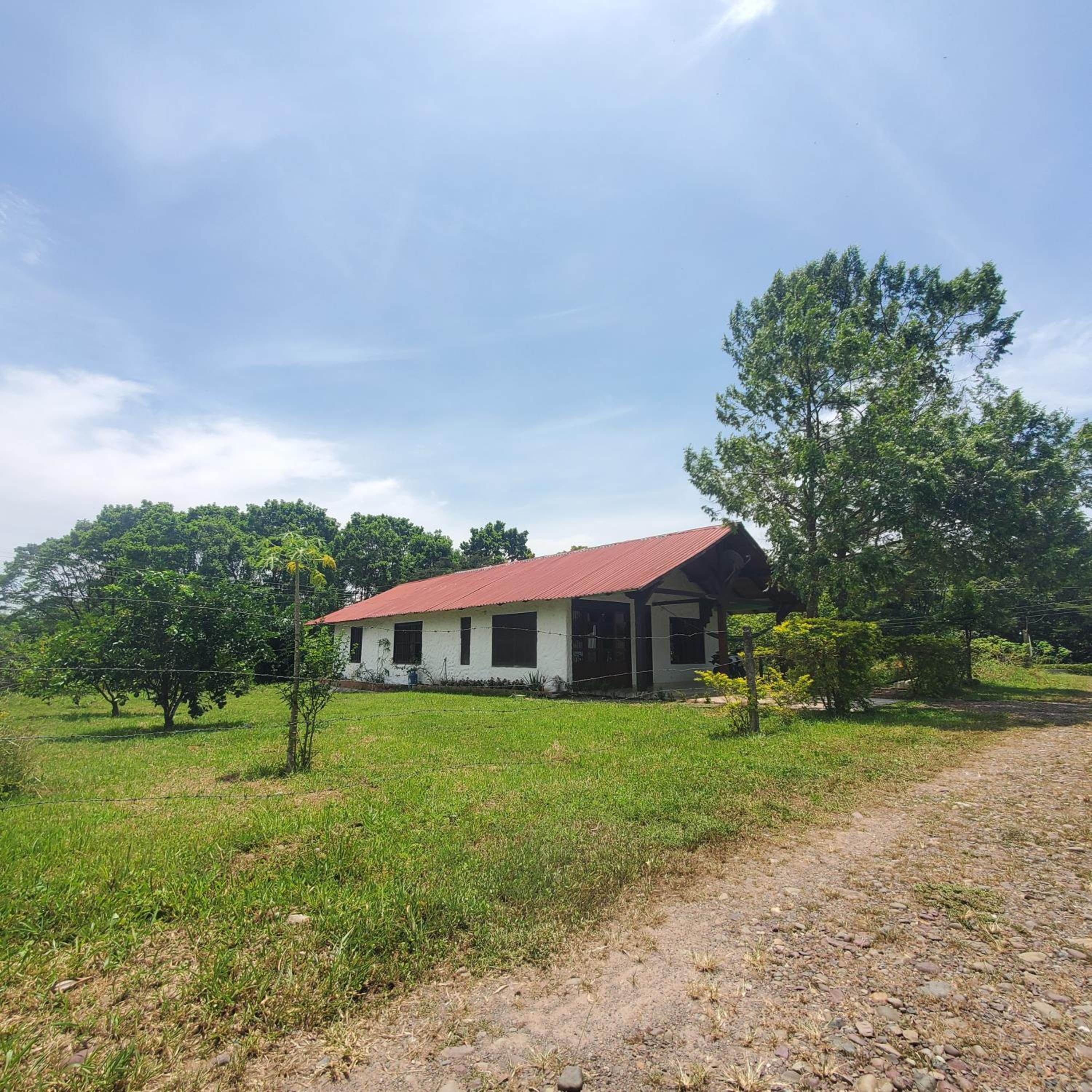 Three-Bedroom House photo 3