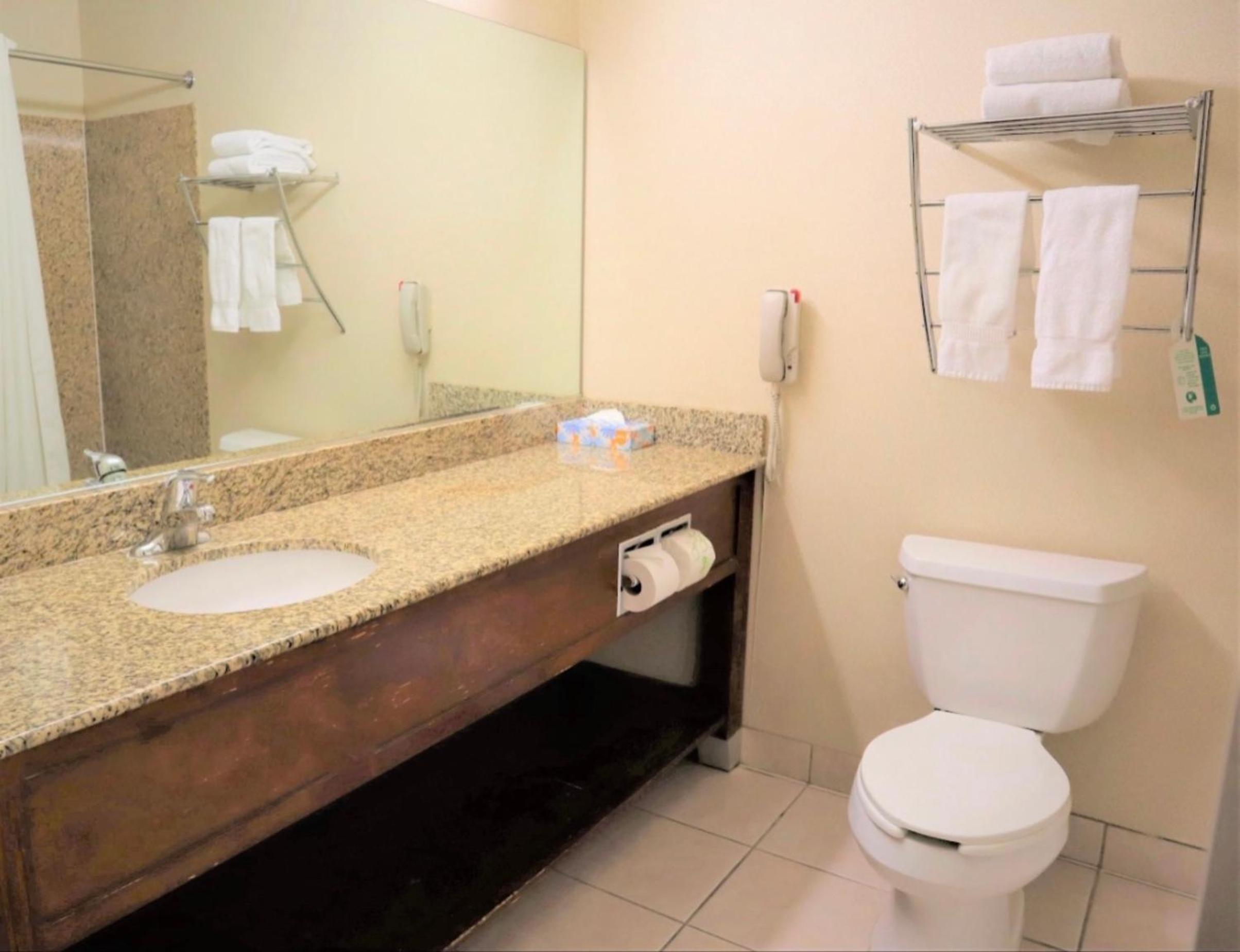 Standard Double Suite photo 3
