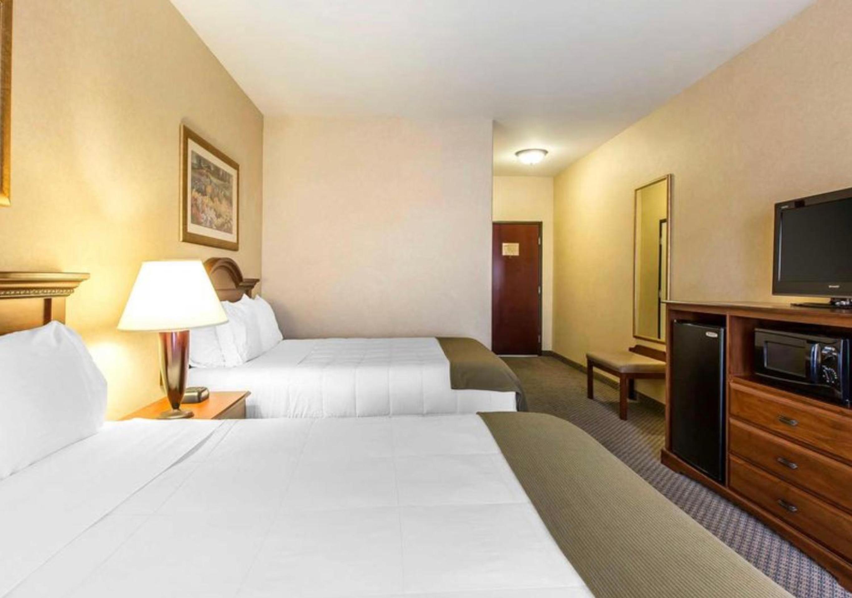 Standard Double Suite photo 2