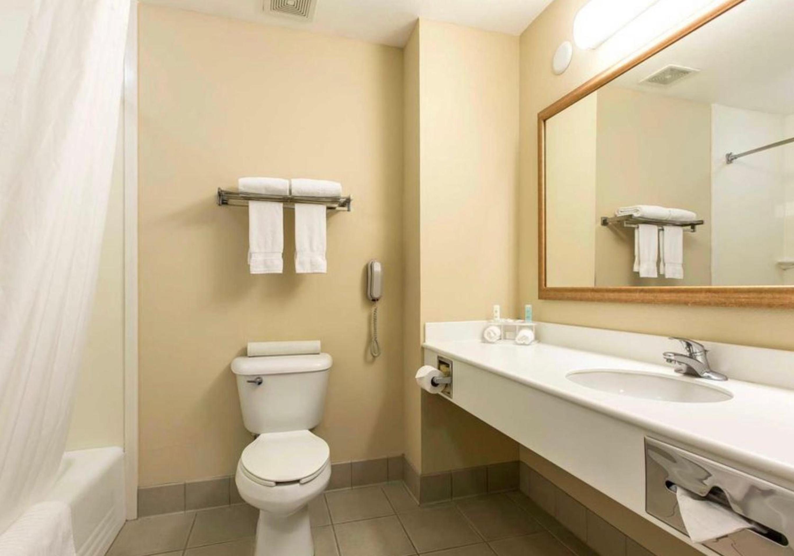 Standard Double Suite photo 3
