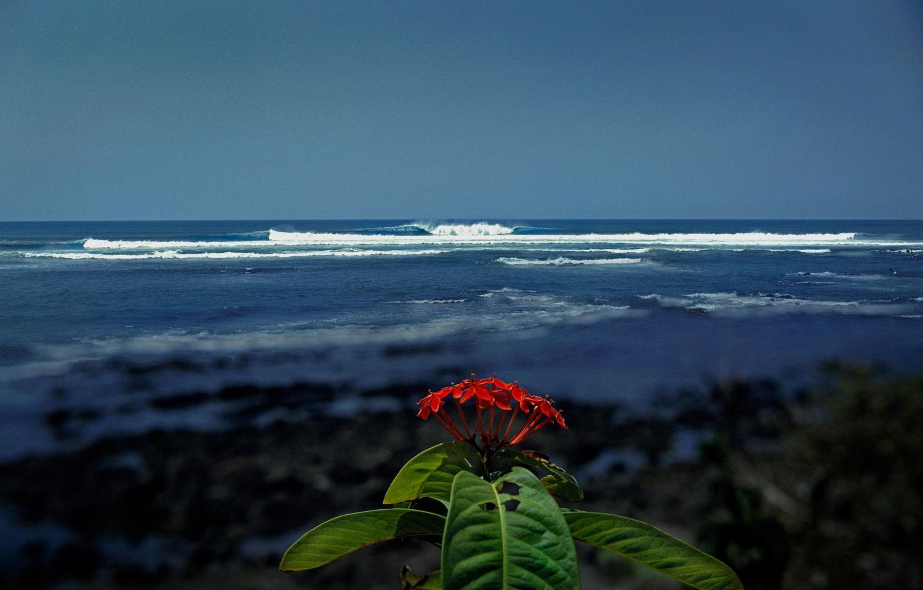 Bungalow - Beach Front