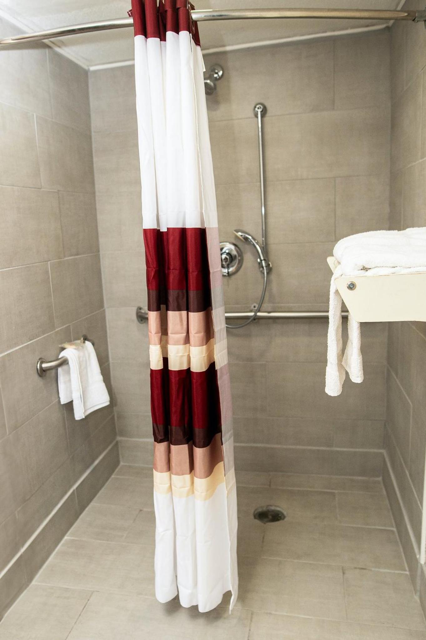 Superior King Room Disability Access Roll-In Shower Smoke Free