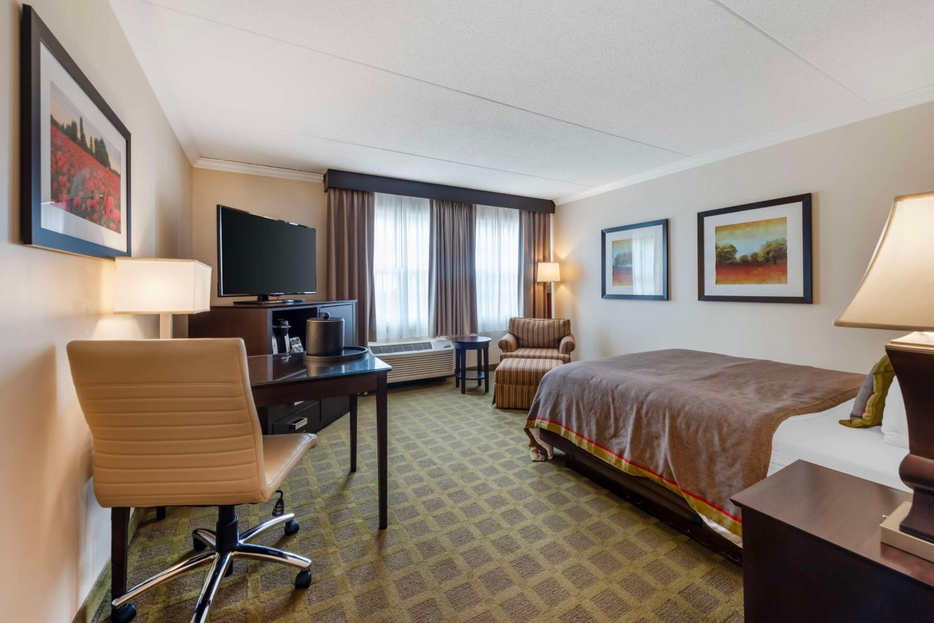 Queen Room - Mobility Access - Photo 1