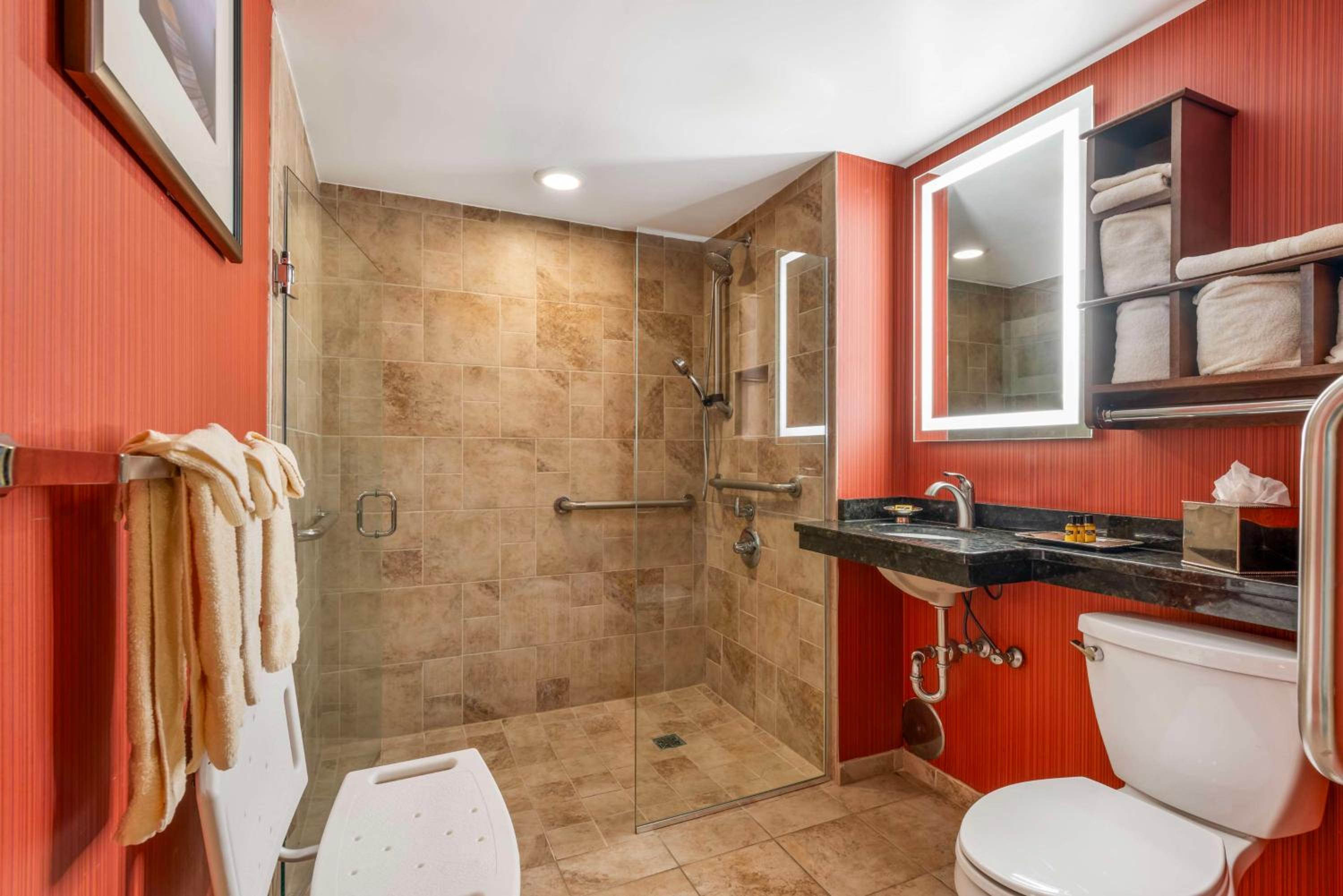 Queen Room - Mobility Access - Photo 2