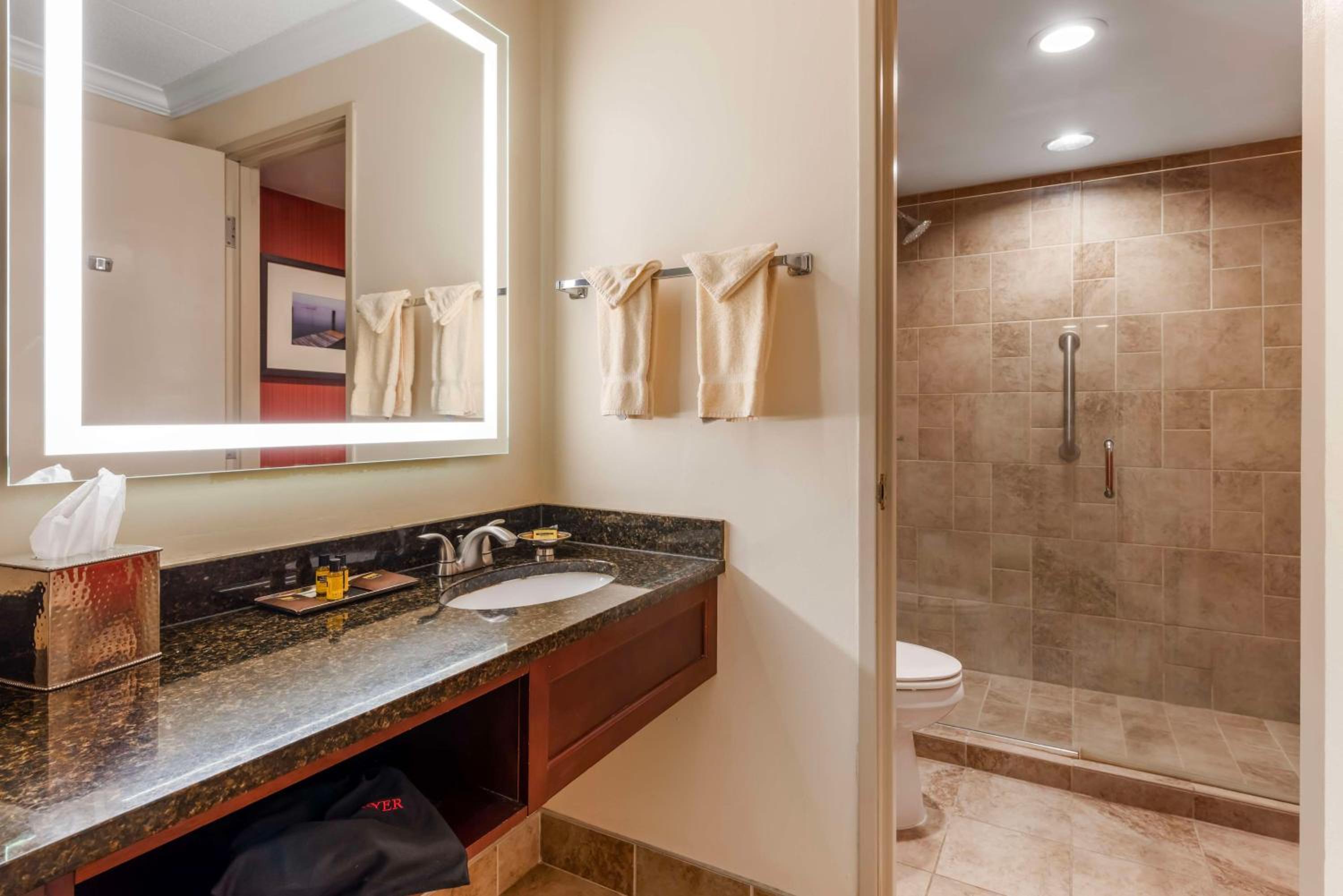 King Suite with Whirlpool and Sofa Bed - Fireplace - Photo 3