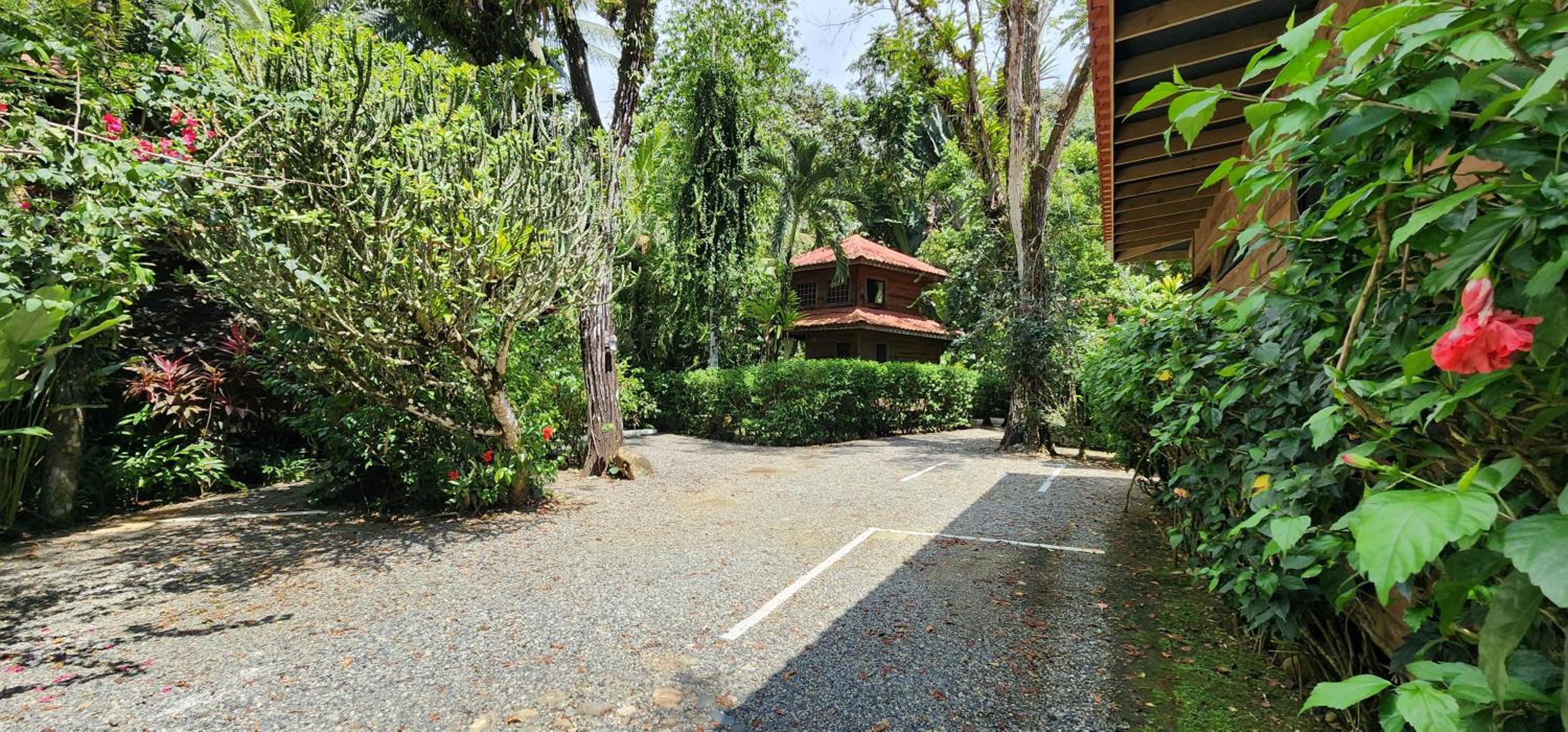 Family Bungalow photo 2