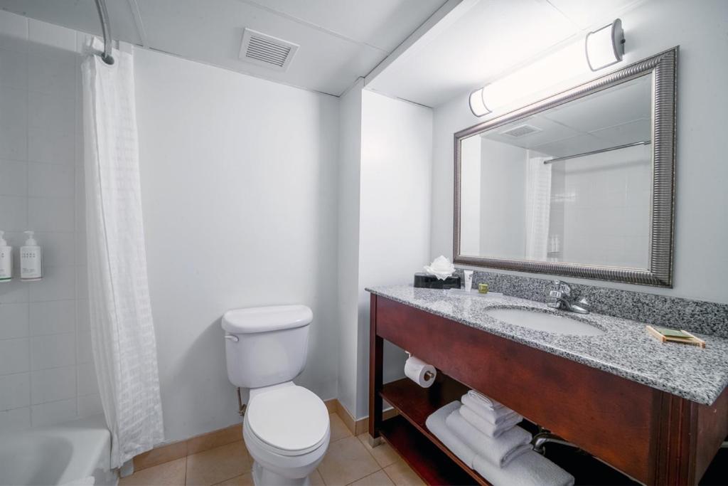 King Studio Suite - Photo 4