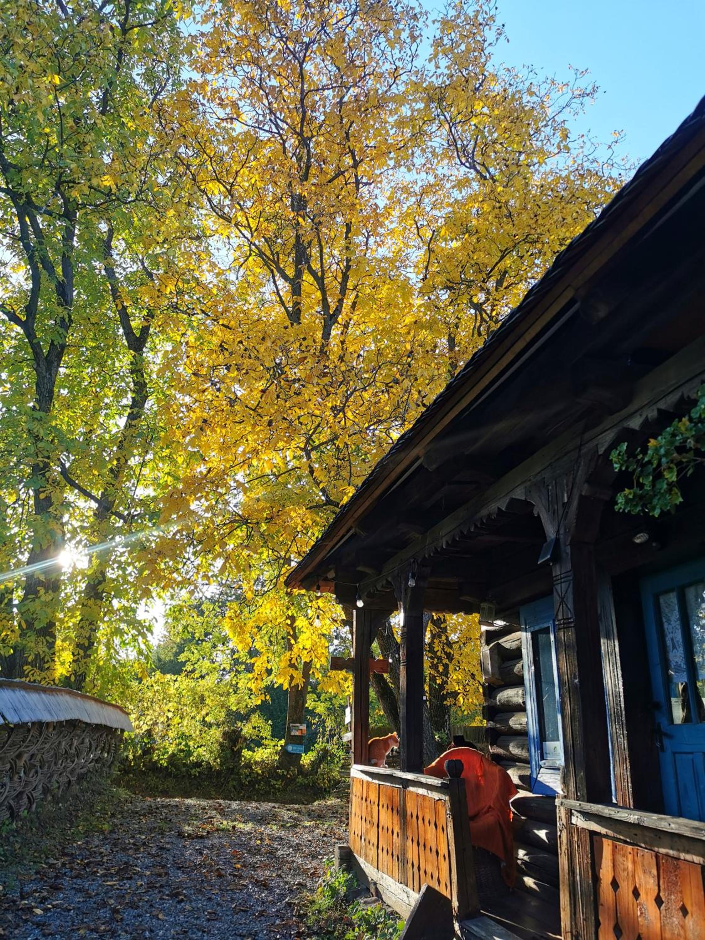 One-Bedroom Chalet - Photo 3