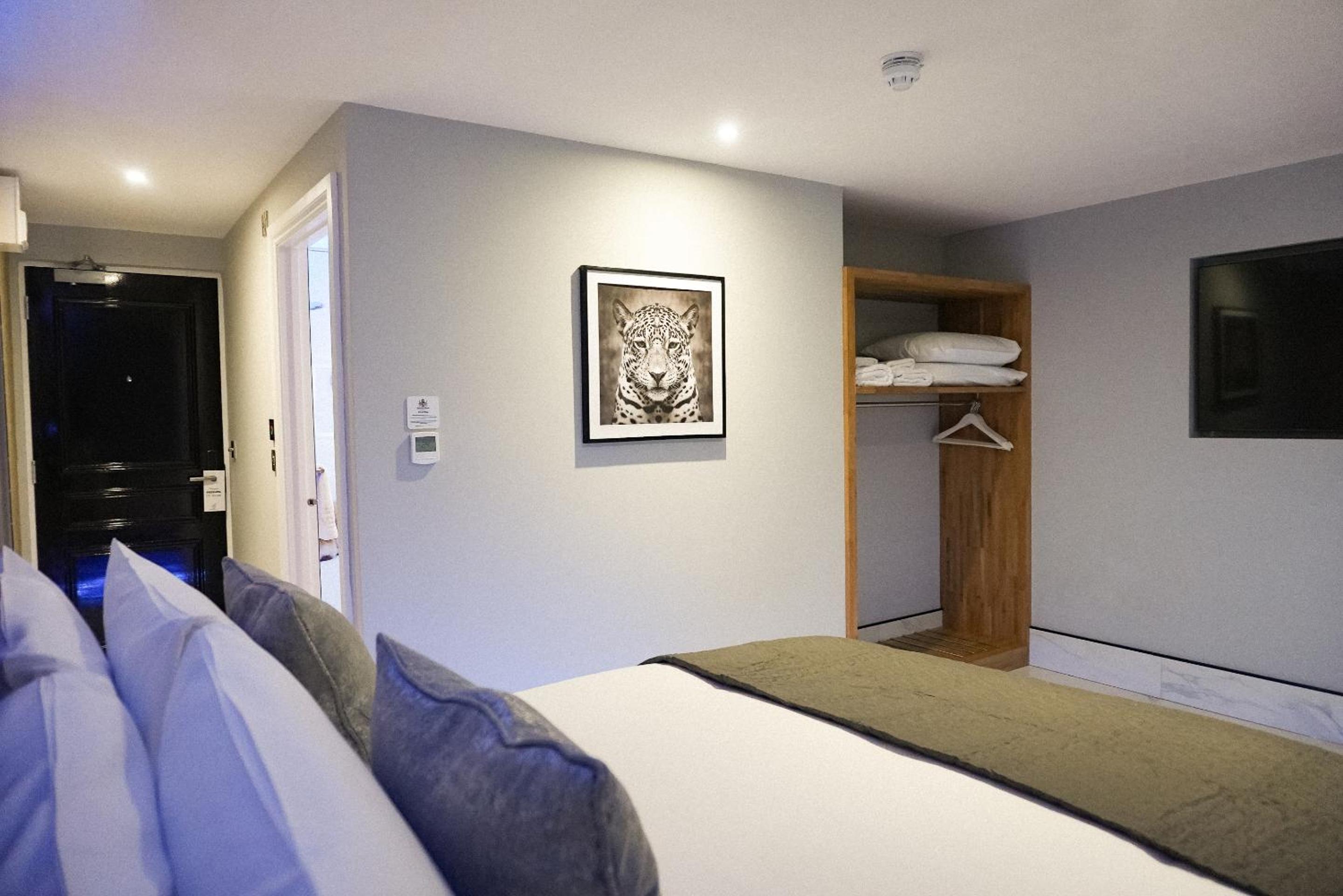 Deluxe King Room - Photo 20
