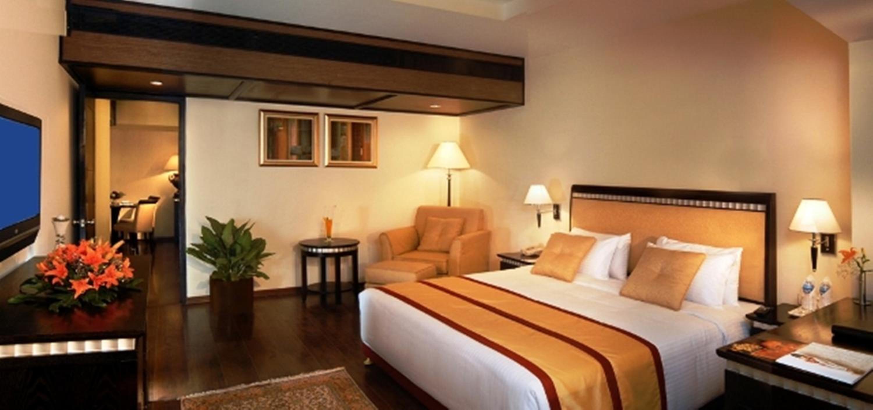 Suite - Photo 2