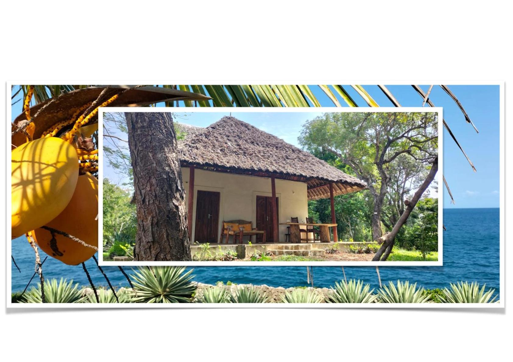Vacation Home - Photo 7