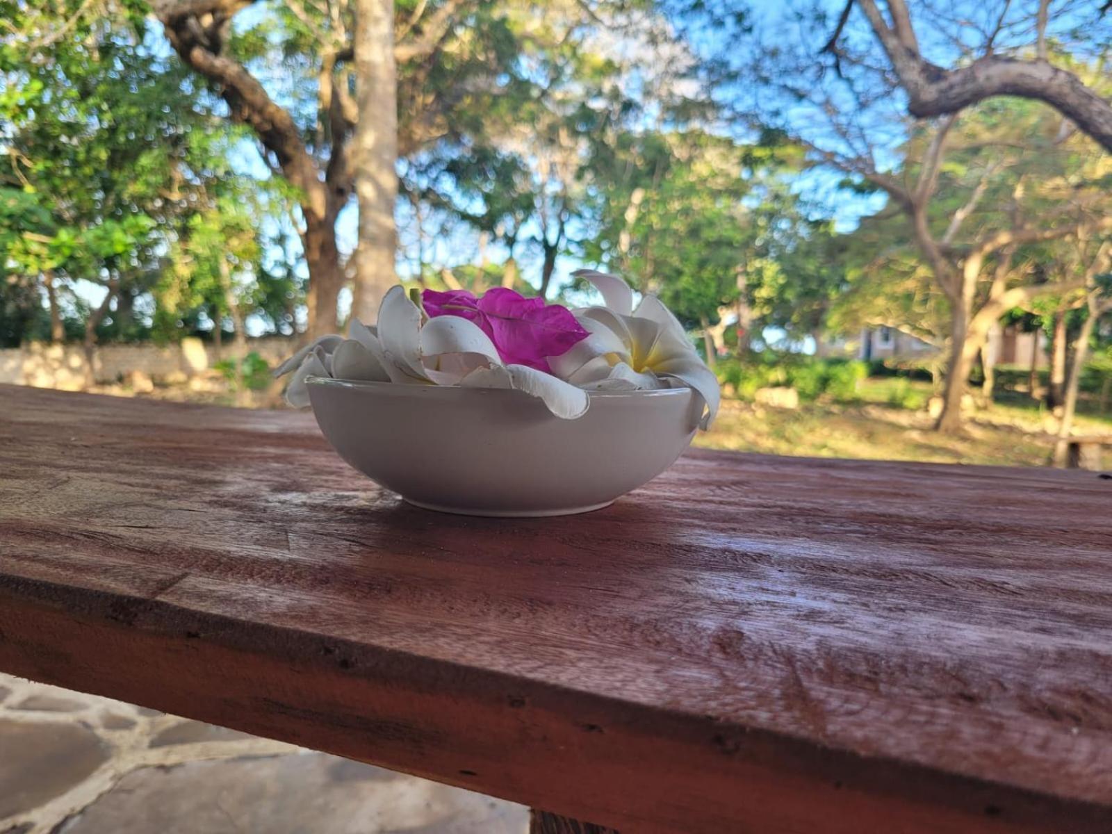 Vacation Home - Photo 37
