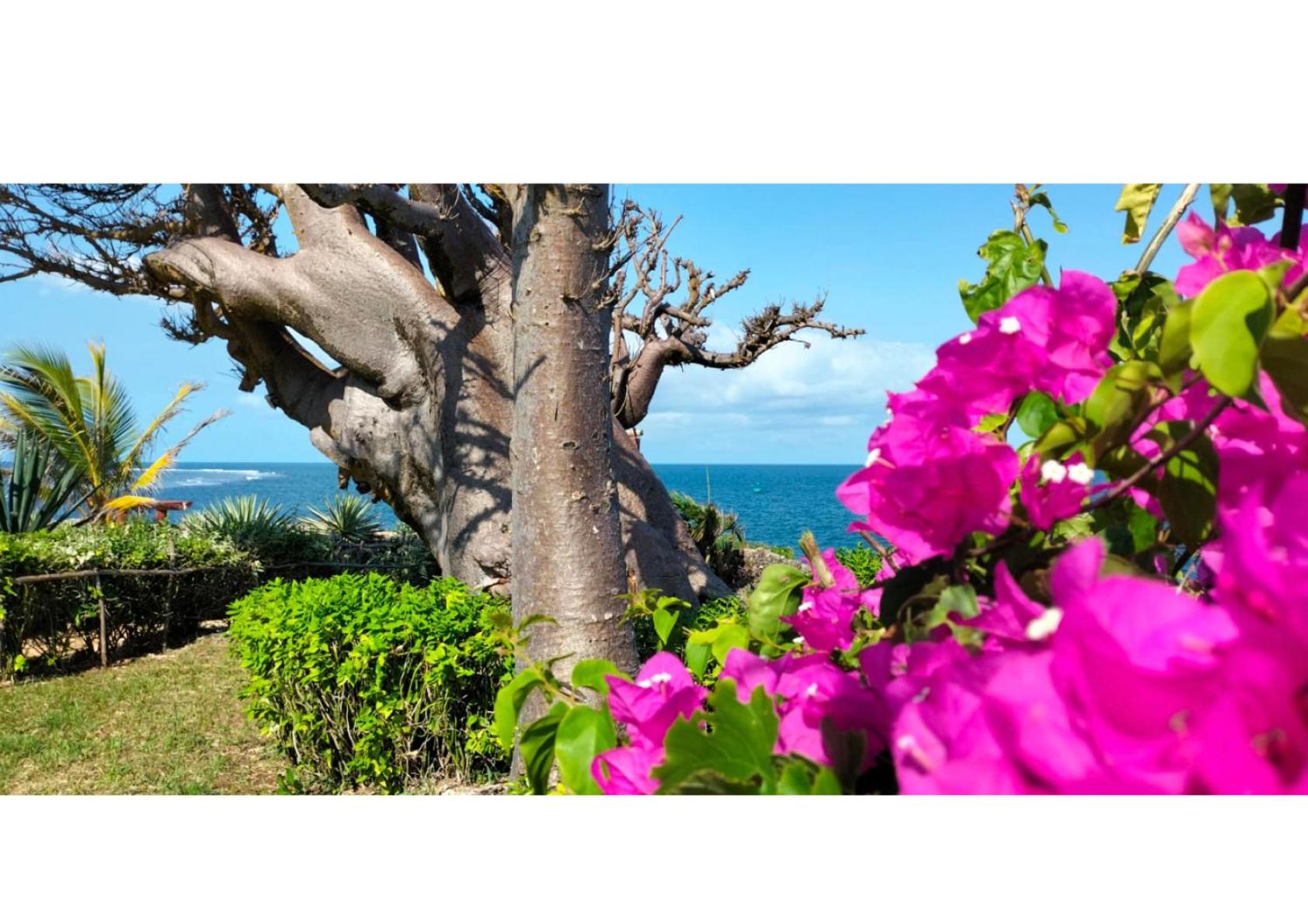 Vacation Home - Photo 48