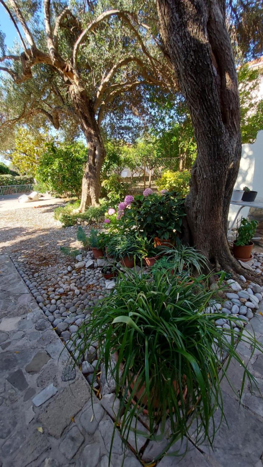 Two Bedroom Apartment with Terrace and Partial Sea View photo 3