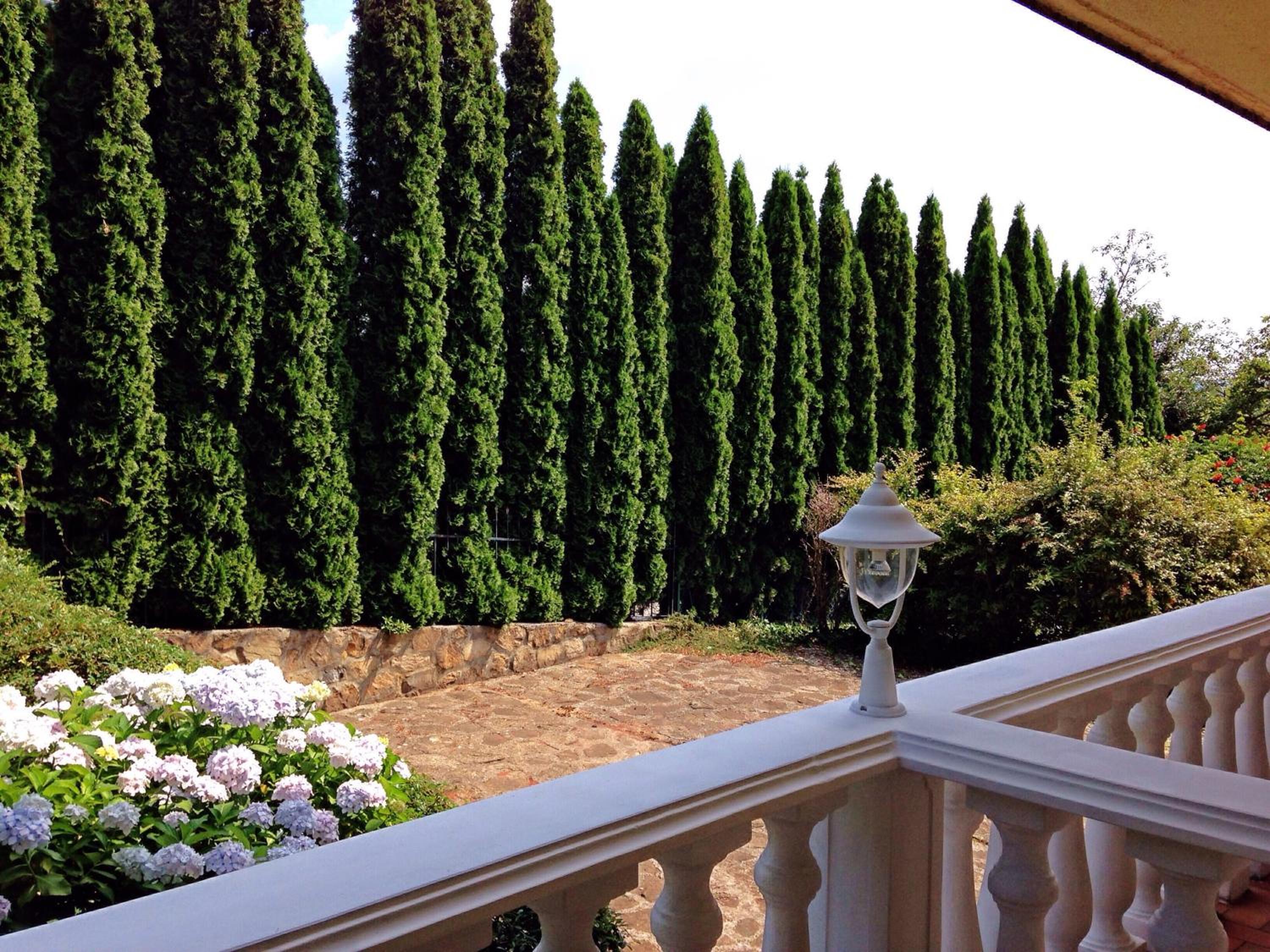 Apartment with Balcony photo 2