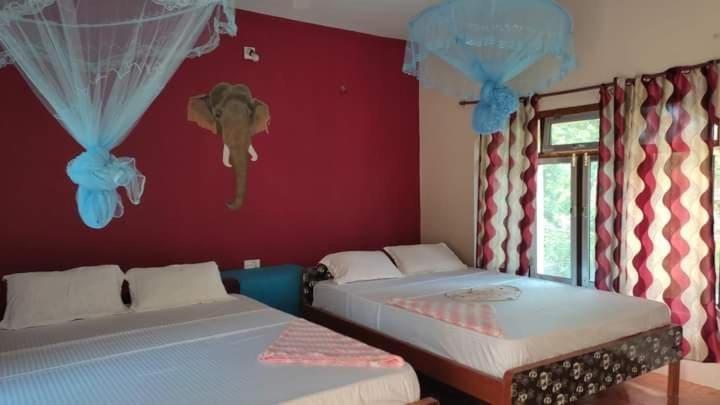 Budget Double Room photo 2