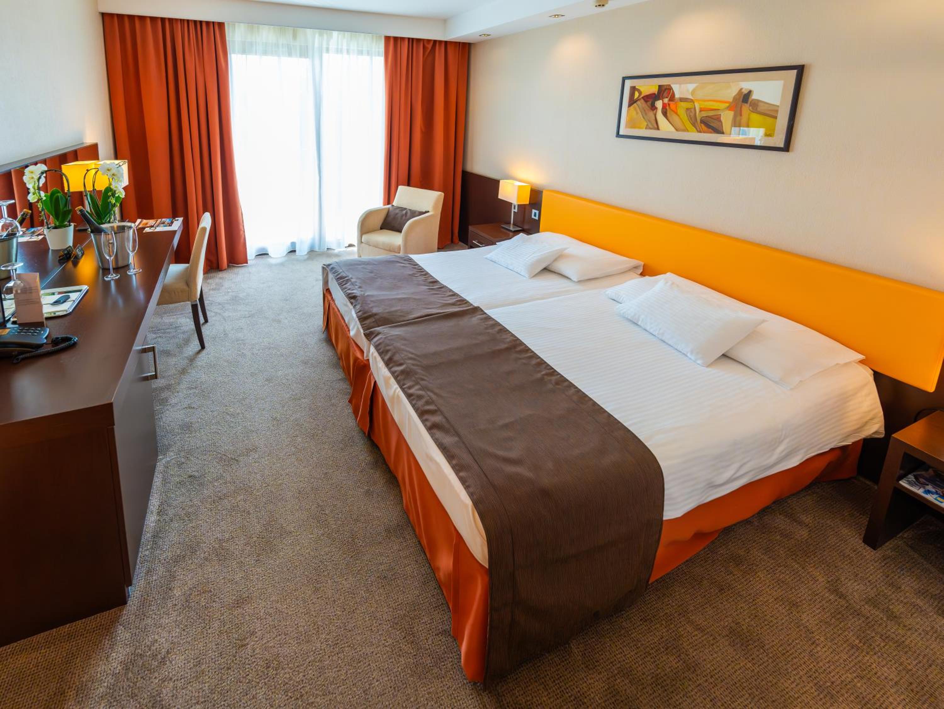 Superior Double or Twin Room