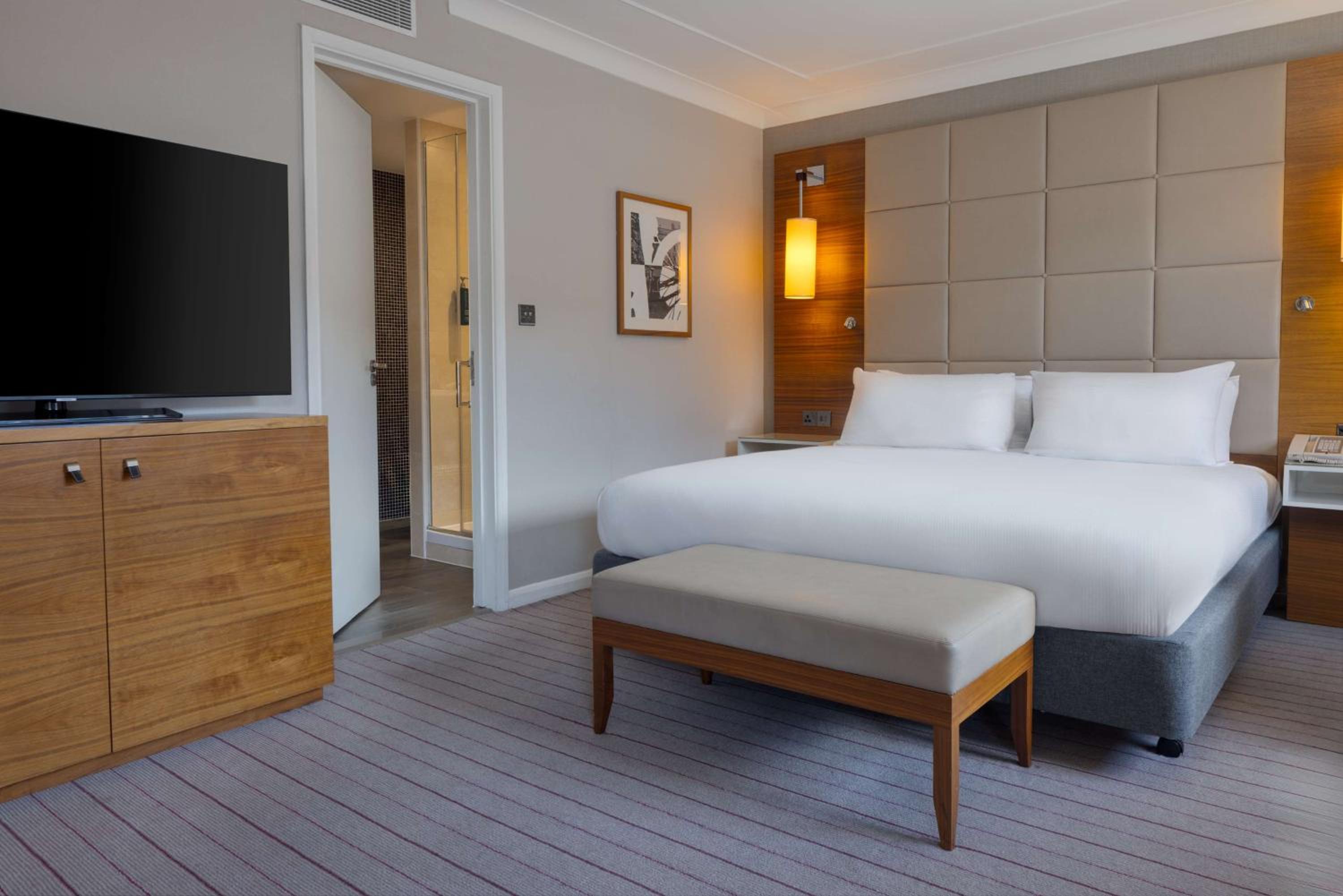 King Suite - Photo 5