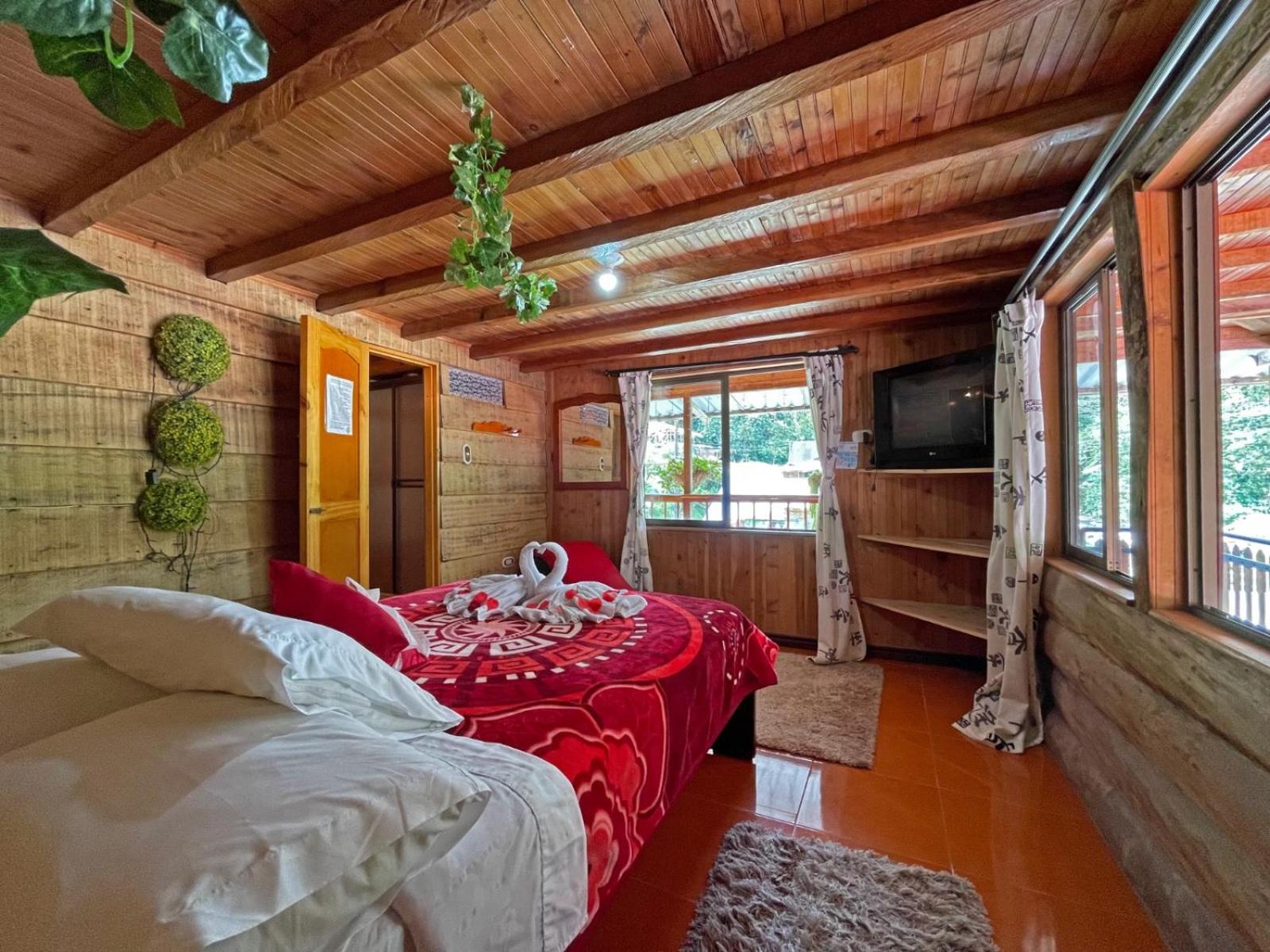 Double Room photo 1